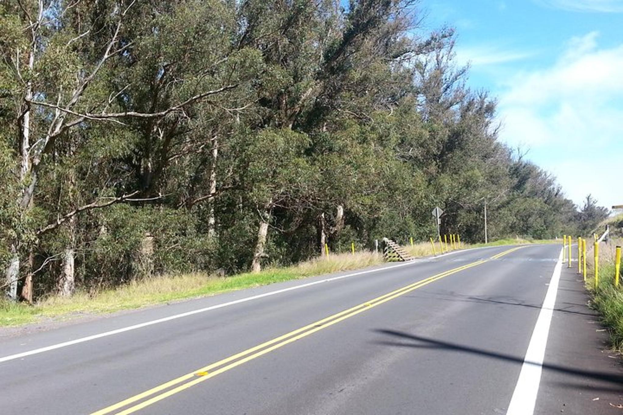 Kahului Road to Hana Private Tour - Image 5