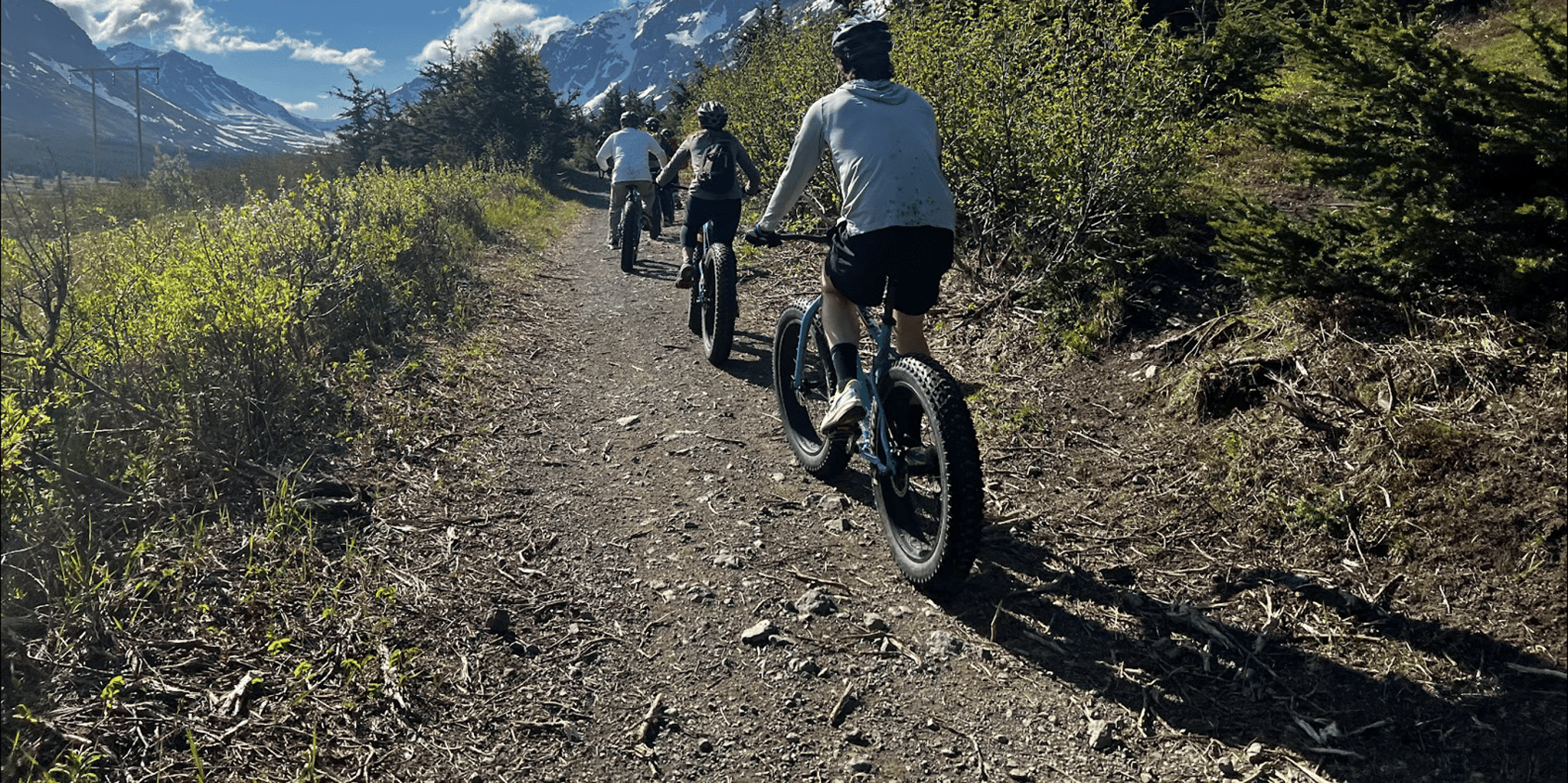 Anchorage Fat Tire Mountain Bike Tour - Image 5
