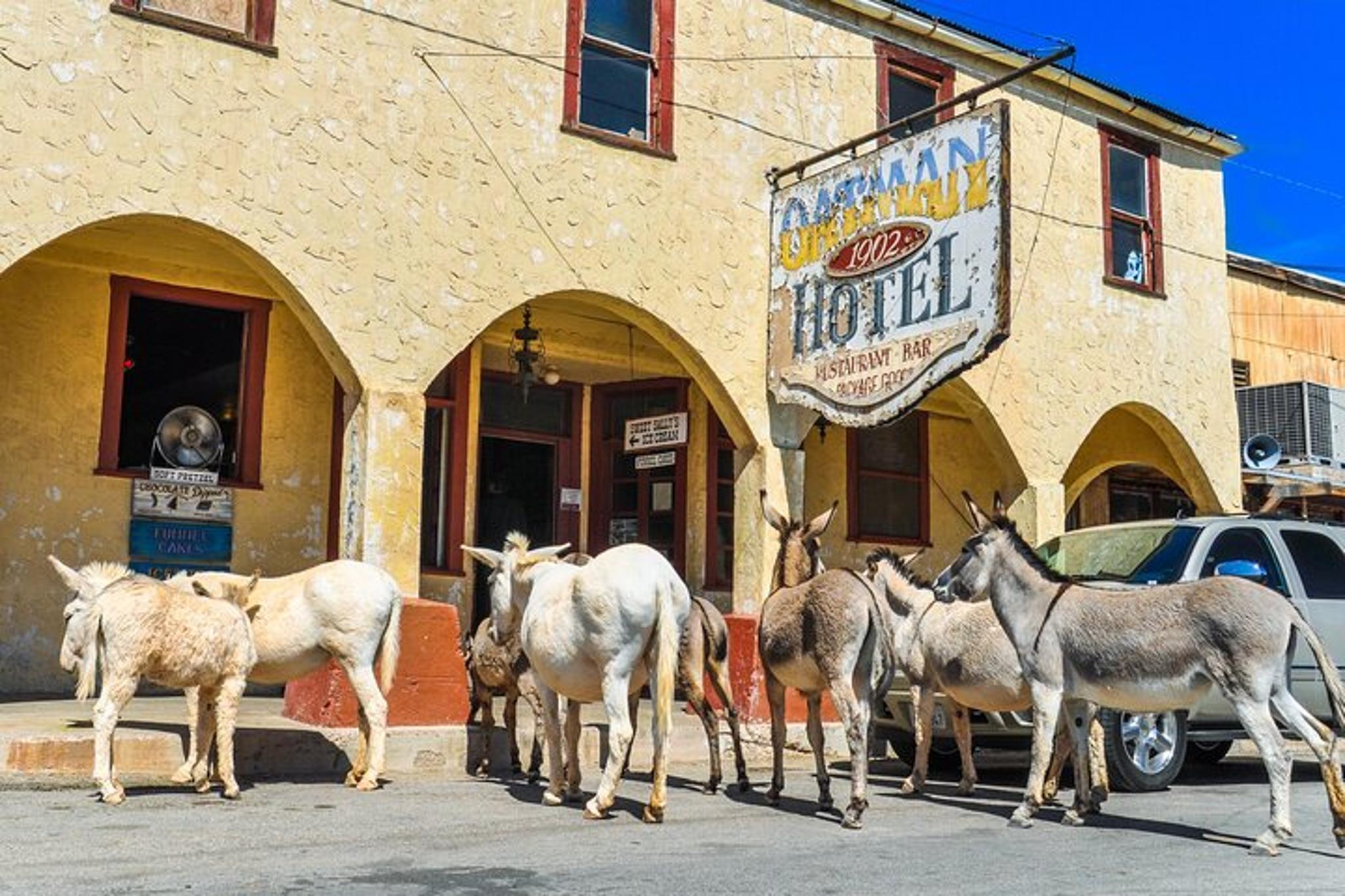 Laughlin Historic Route 66 Tour - Image 3
