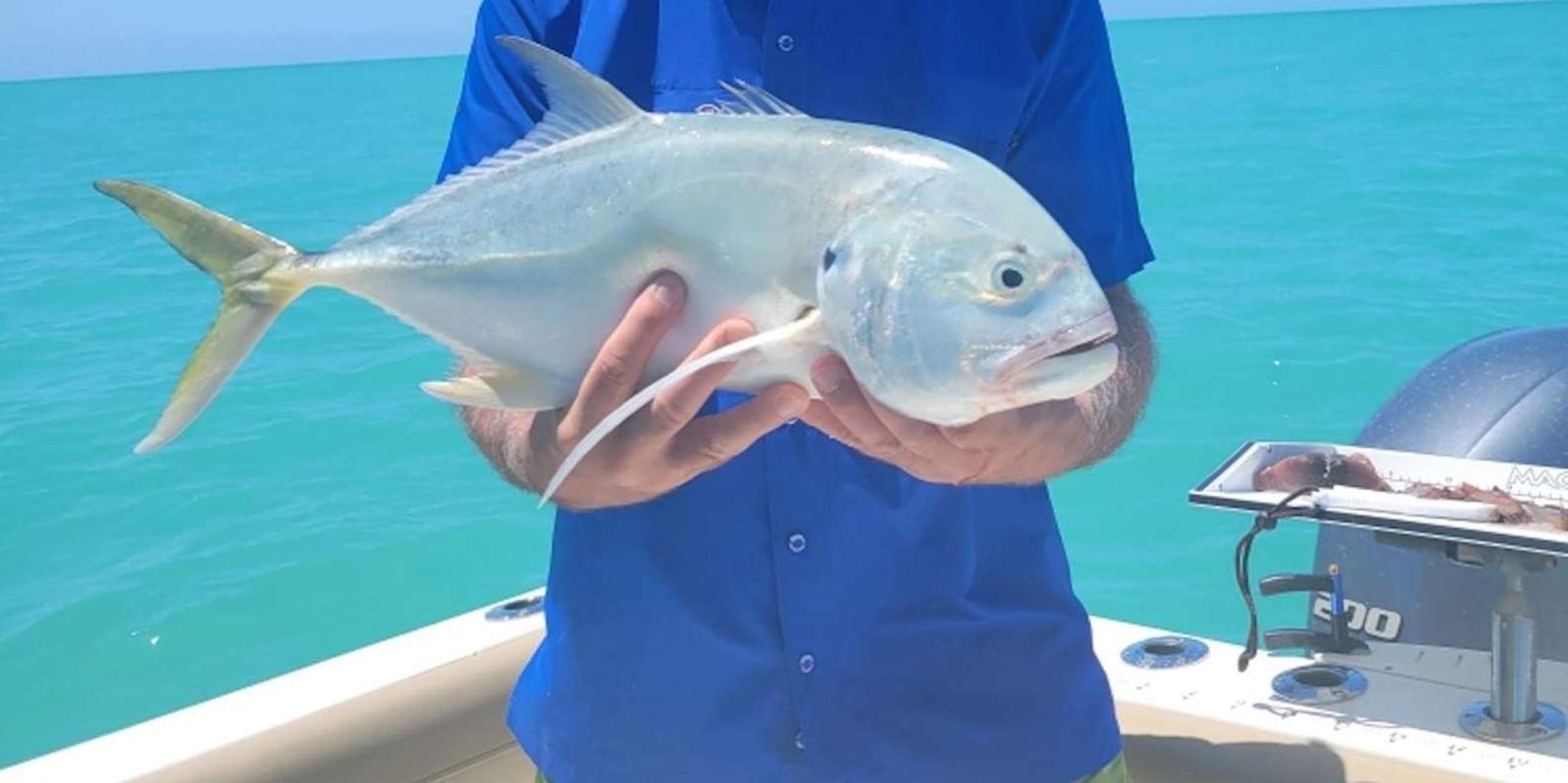 Key West Fishing and Sandbar Excursion - Image 6
