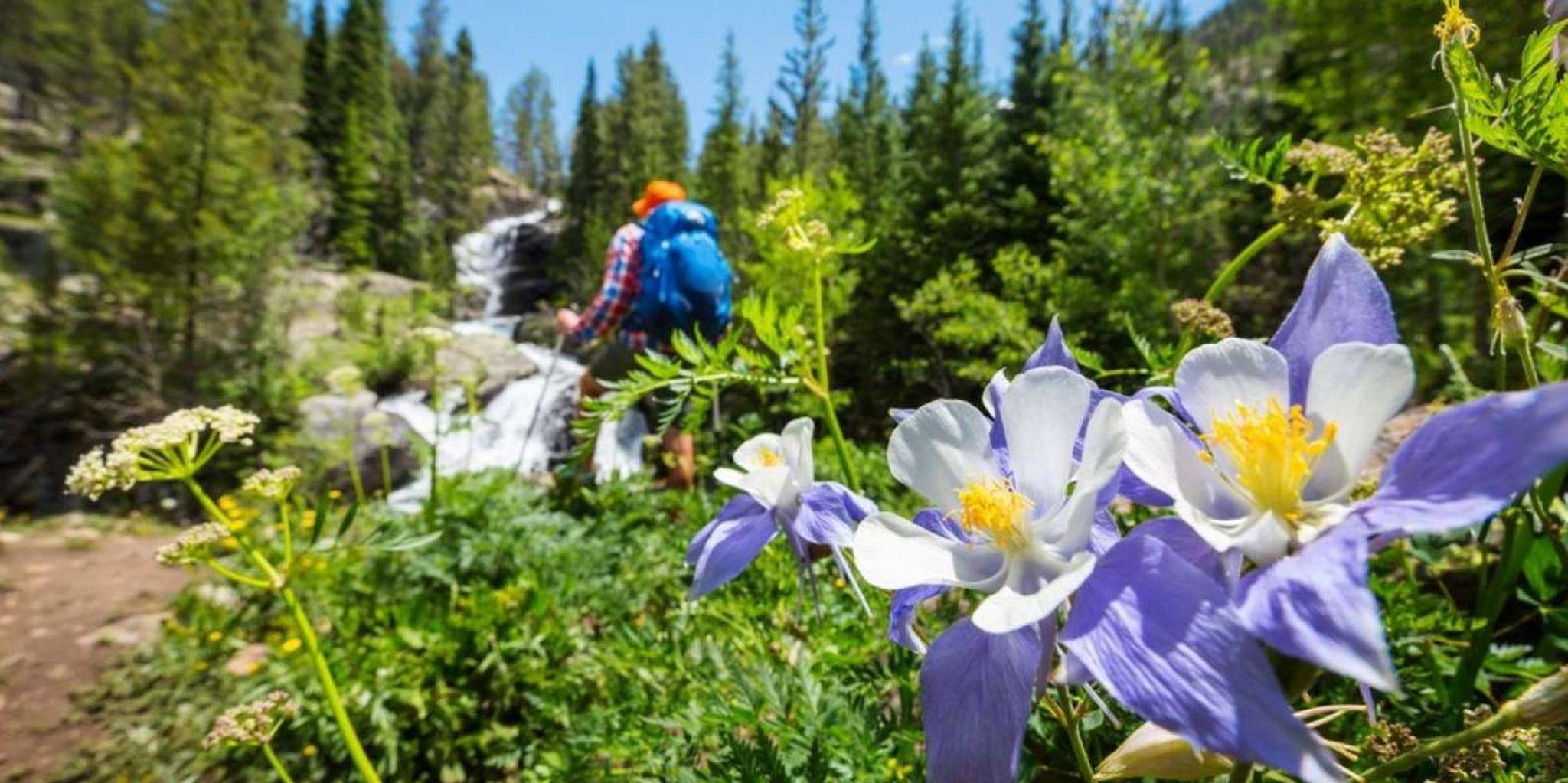 Breckenridge Scenic Hike Half-Day