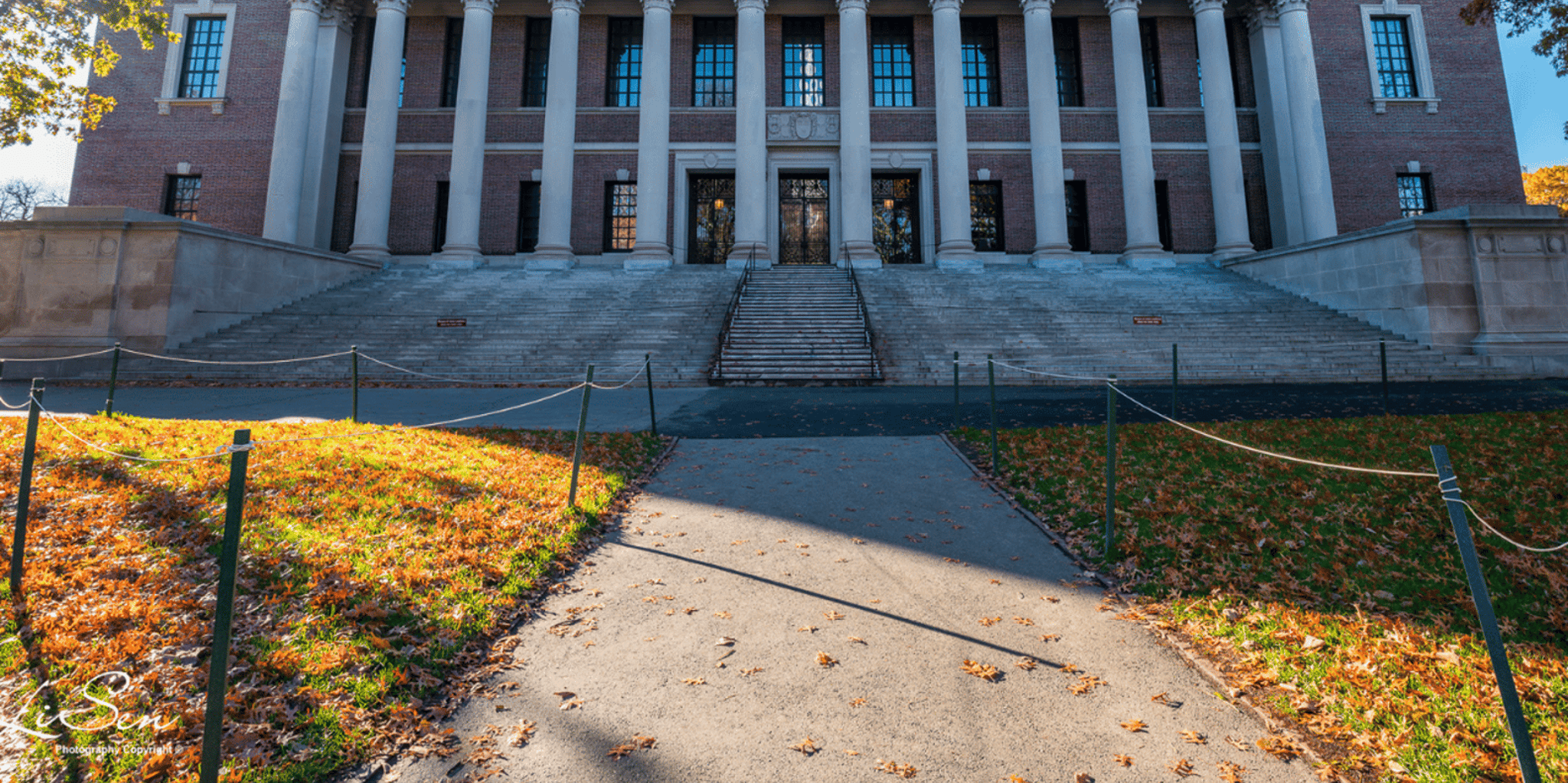 Cambridge Harvard University Student-Led Tour 2.5 hr - Image 6