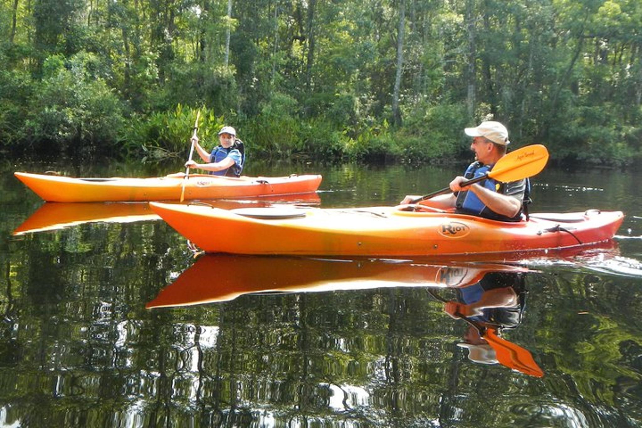 Fernandina Kayaking Tour on Lofton Creek - Image 6