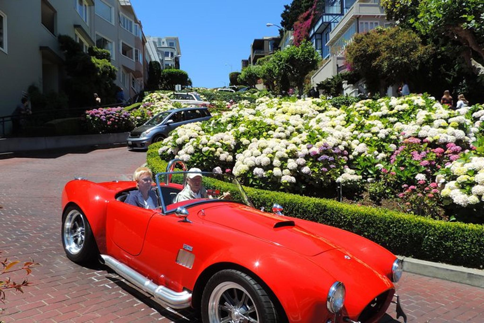 San Francisco Muir Woods Private Tour 4 hr - Image 4