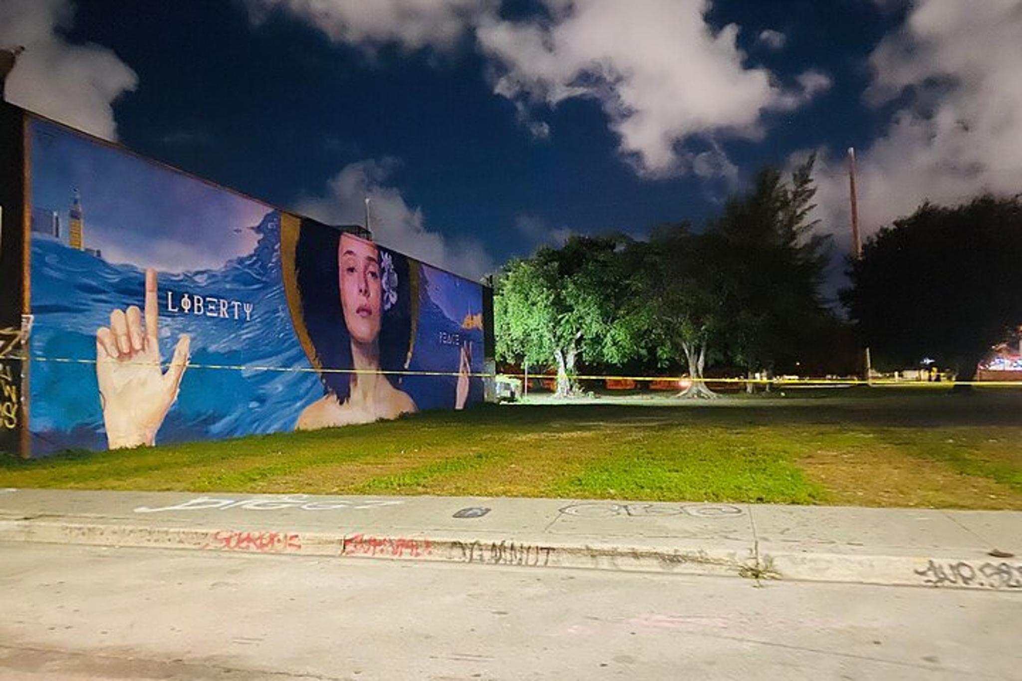 Miami Graffiti Golf Cart Tour at Night - Image 3