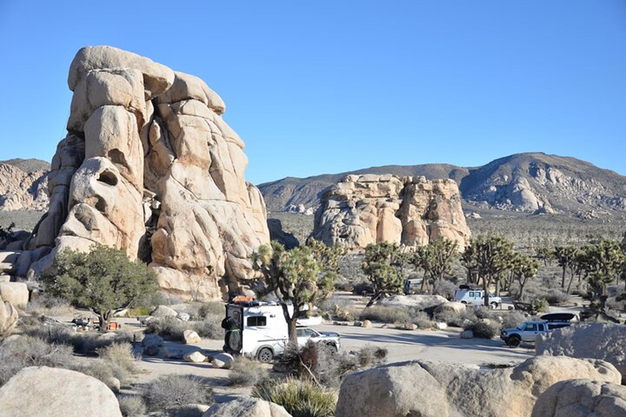Los Angeles Joshua Tree National Park Private Tour 2 Days - Image 6