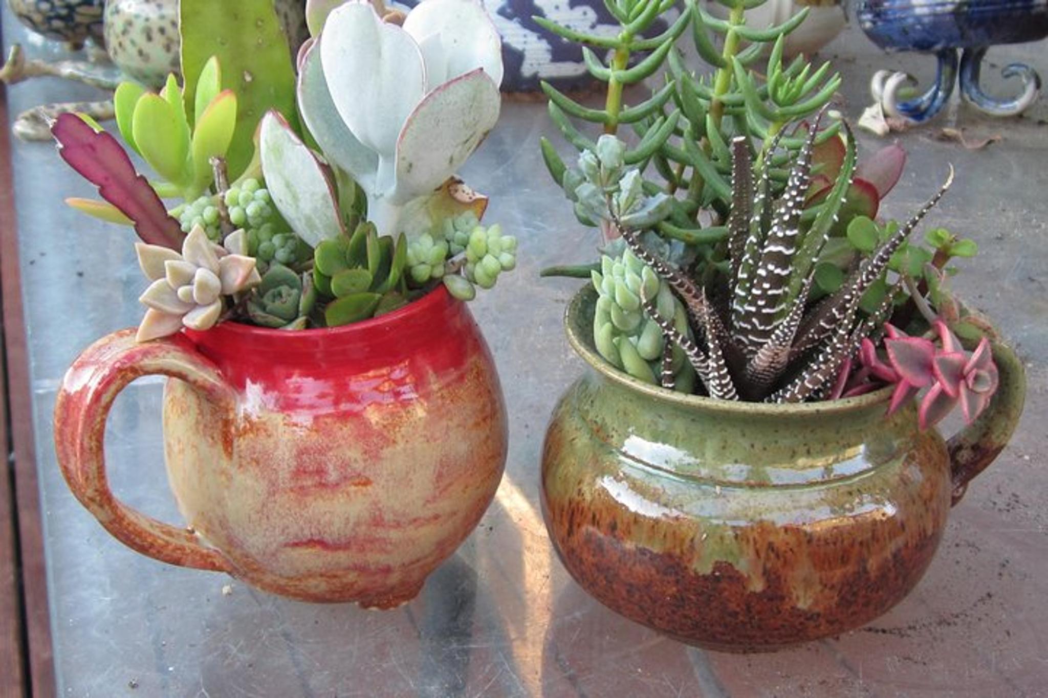 Ojai Pottery Workshop and Studio Tour 2 hr - Image 4