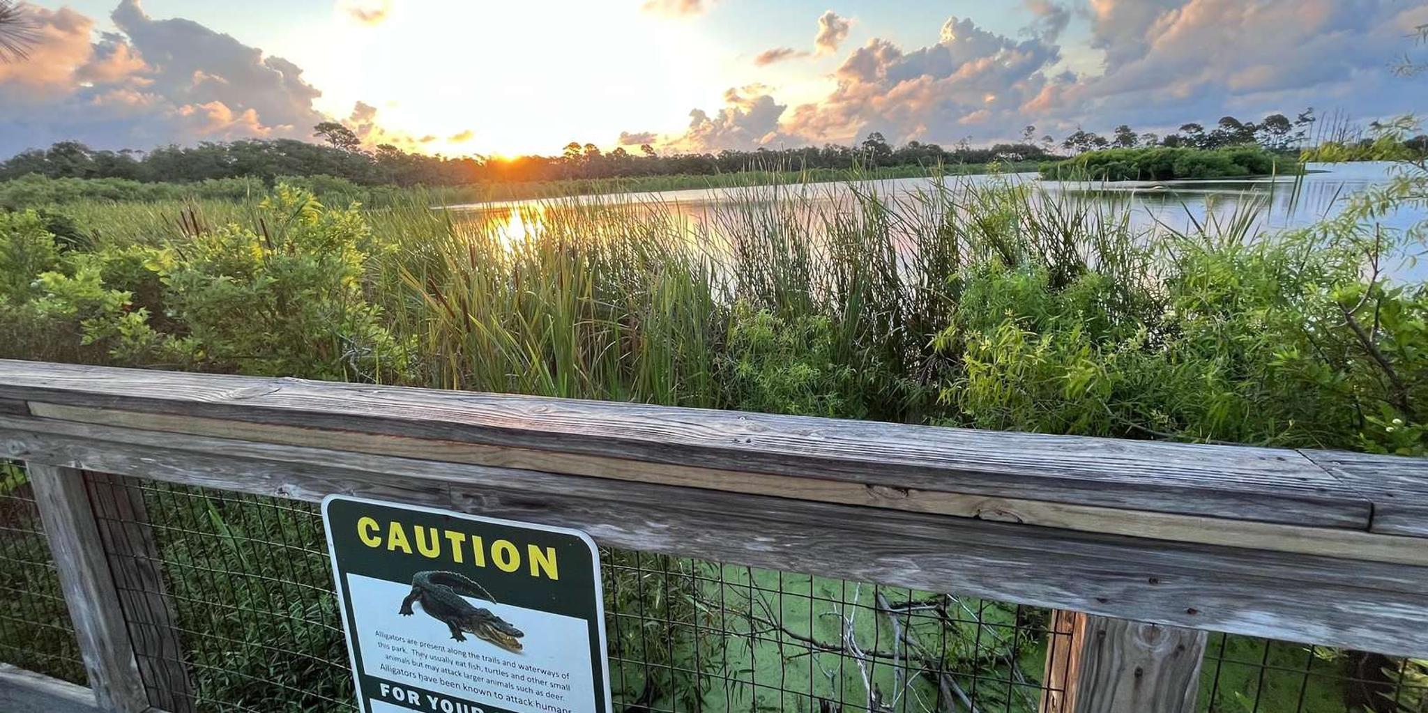 Panama City Bike Rental with Smartphone Tour - Image 3