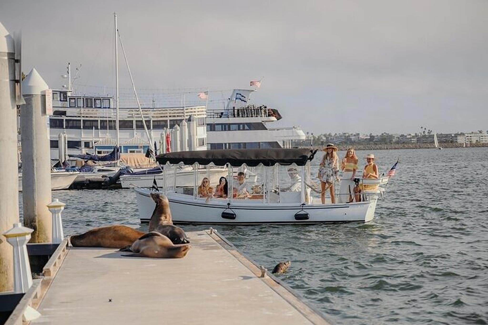 Marina Del Rey E-Boat Cruise with Wine and Charcuterie - Image 1