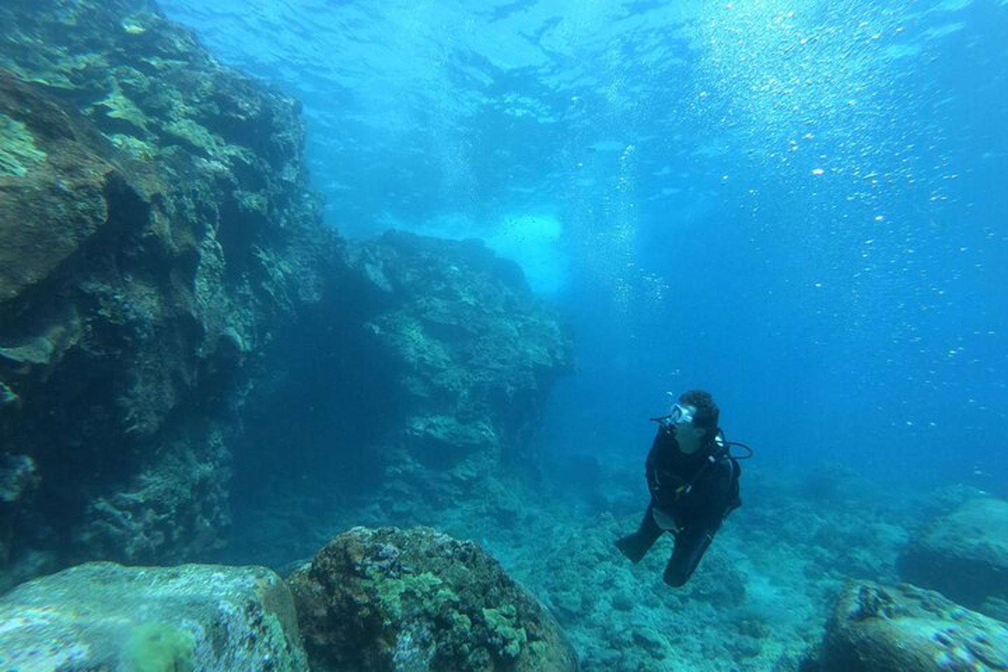 Kona Shore Dive