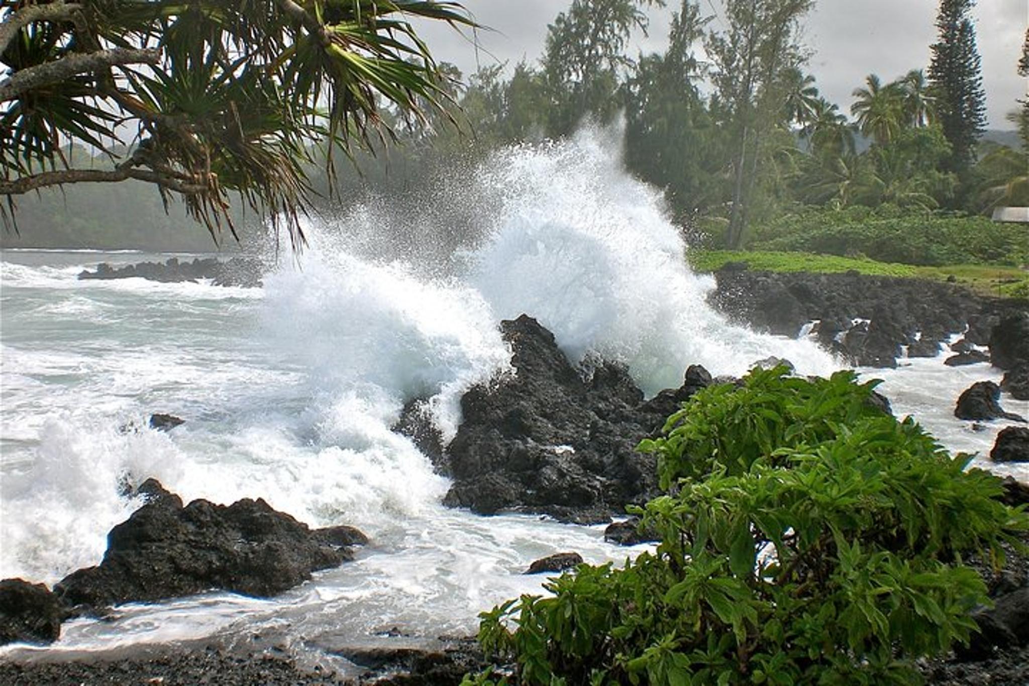 Maui Road to Hana Tour - Image 6