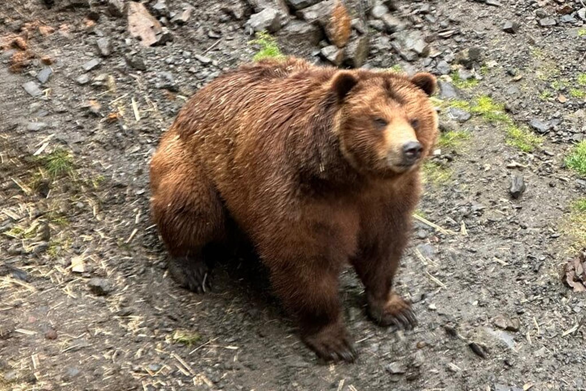 Sitka Scenic Private Tour - Image 3