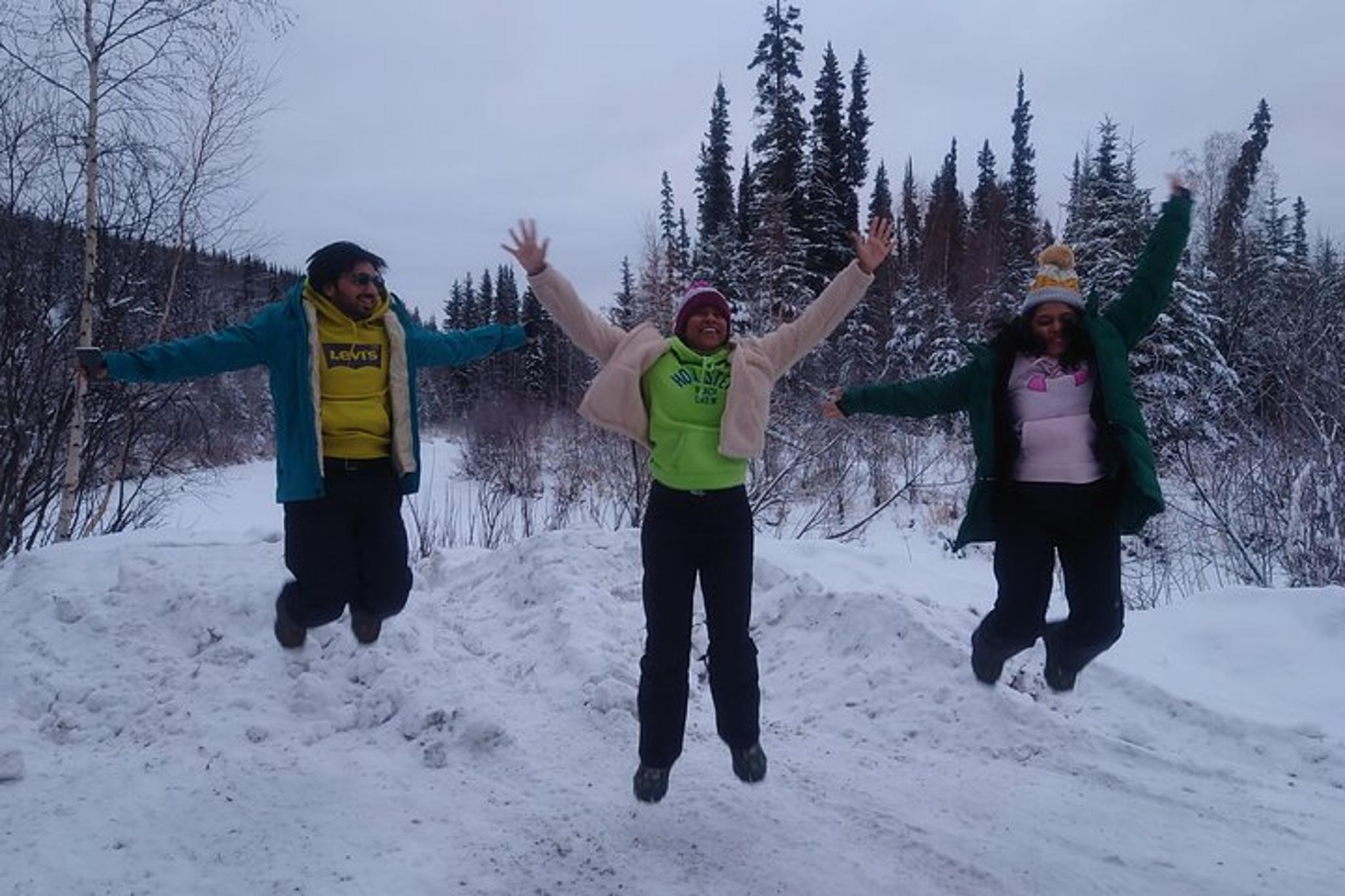 Fairbanks Arctic Circle Adventure with Aurora Viewing - Image 4