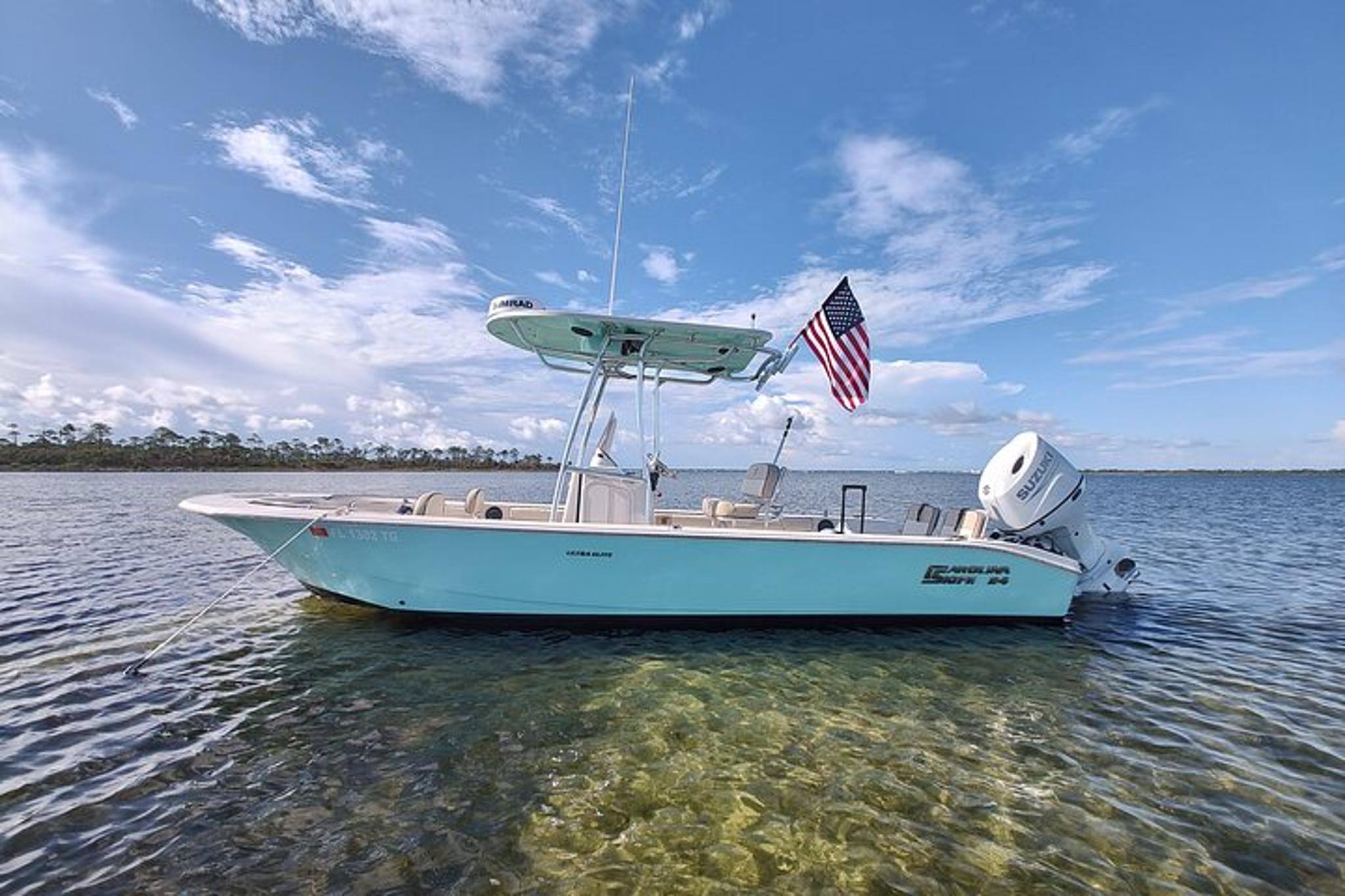 Panama City Beach Dolphin Tour - Image 2