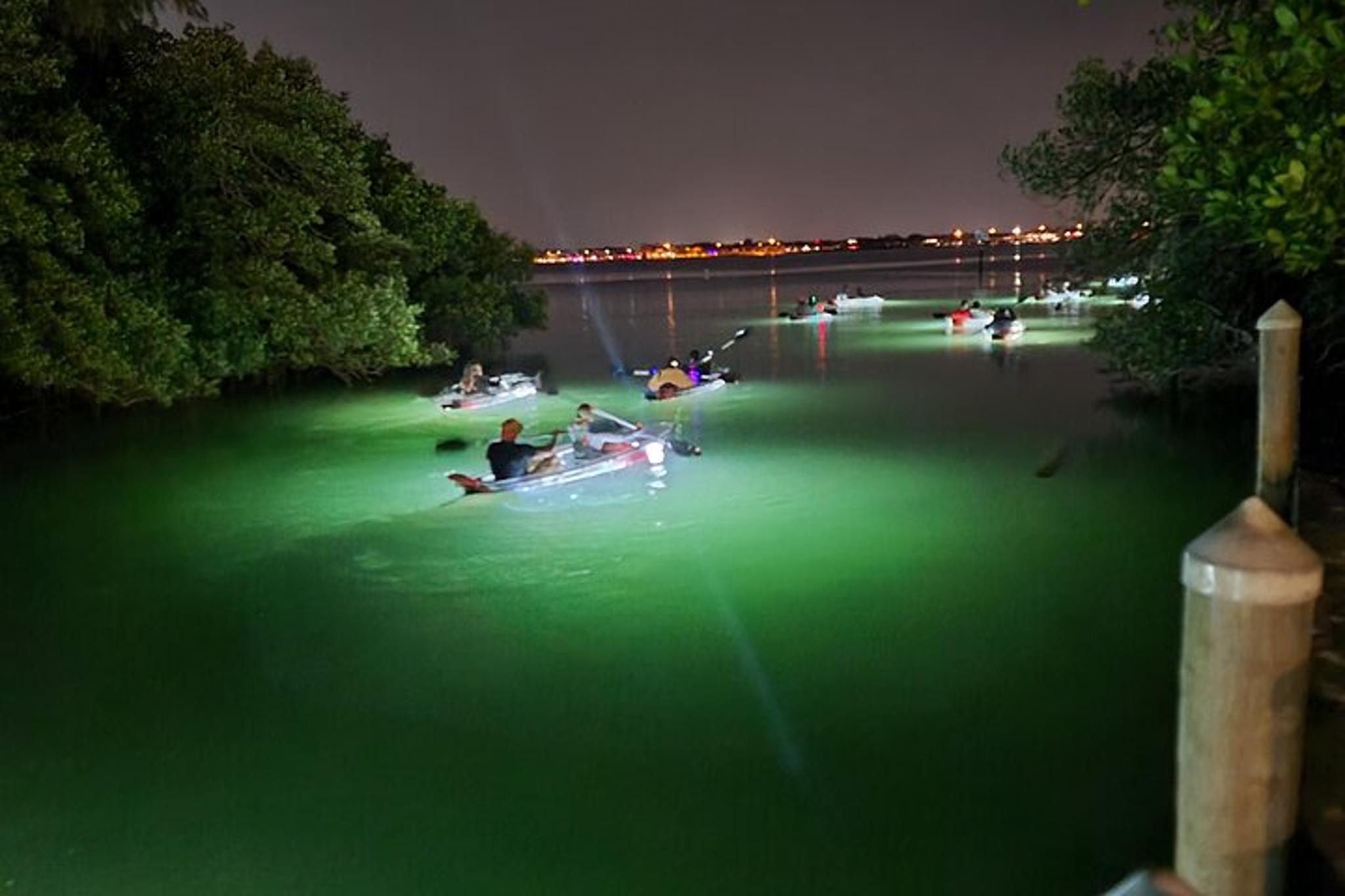Anna Maria Island Clear Kayak LED Night Tour - Image 5