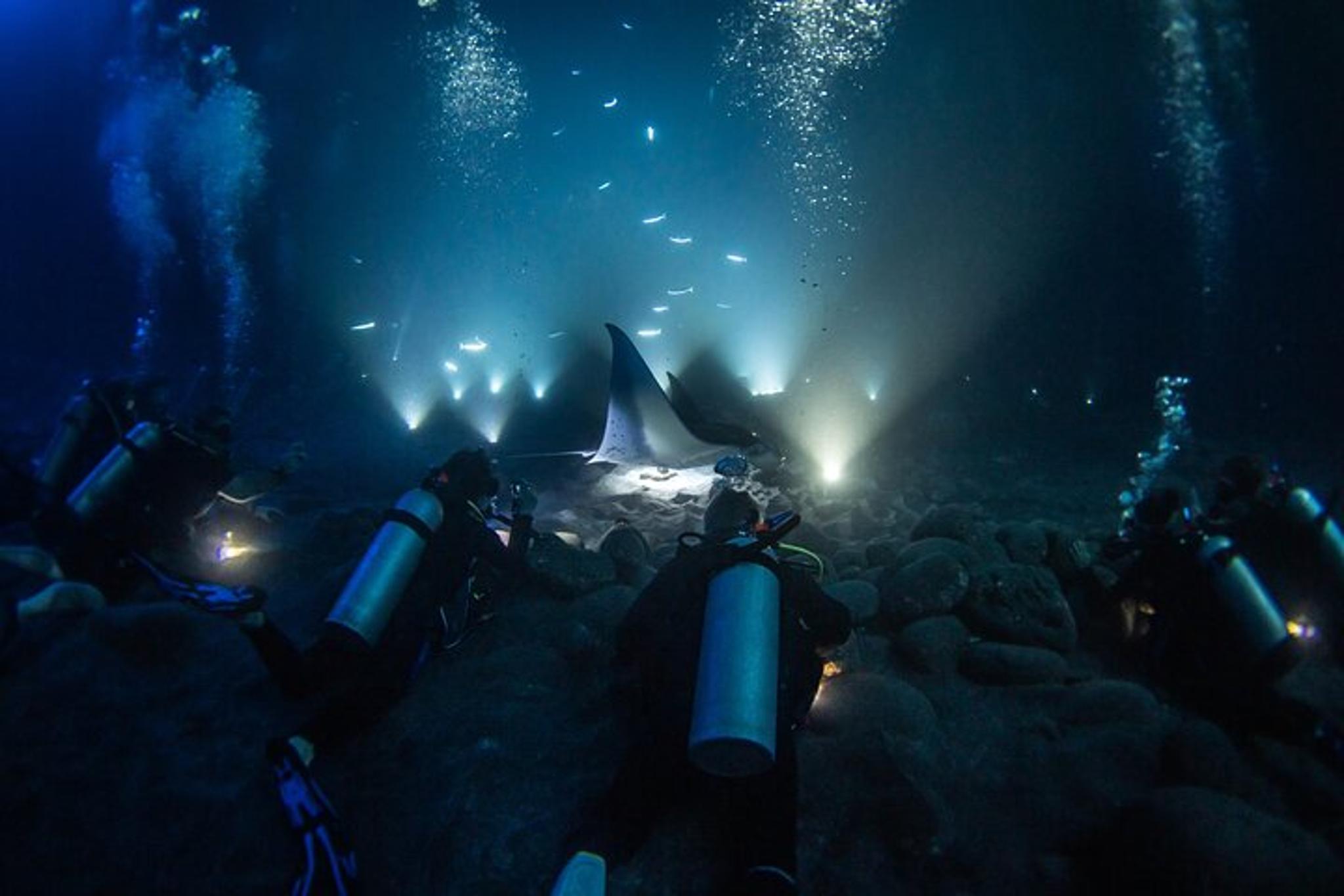 Hawaii Manta Night Dive and Snorkel 3 hr - Image 3