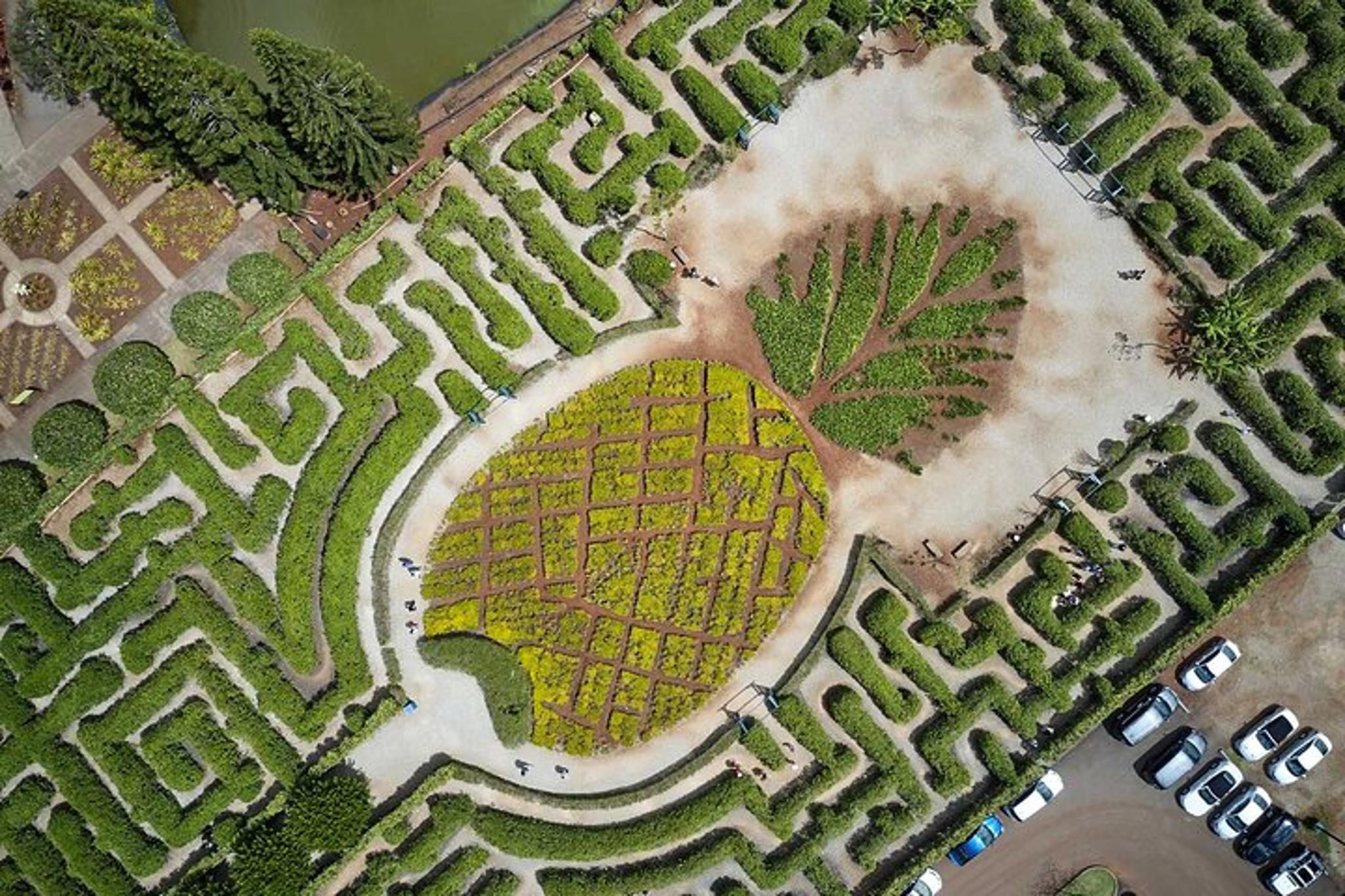 Oahu Haleiwa & Dole Plantation Tour - Image 4