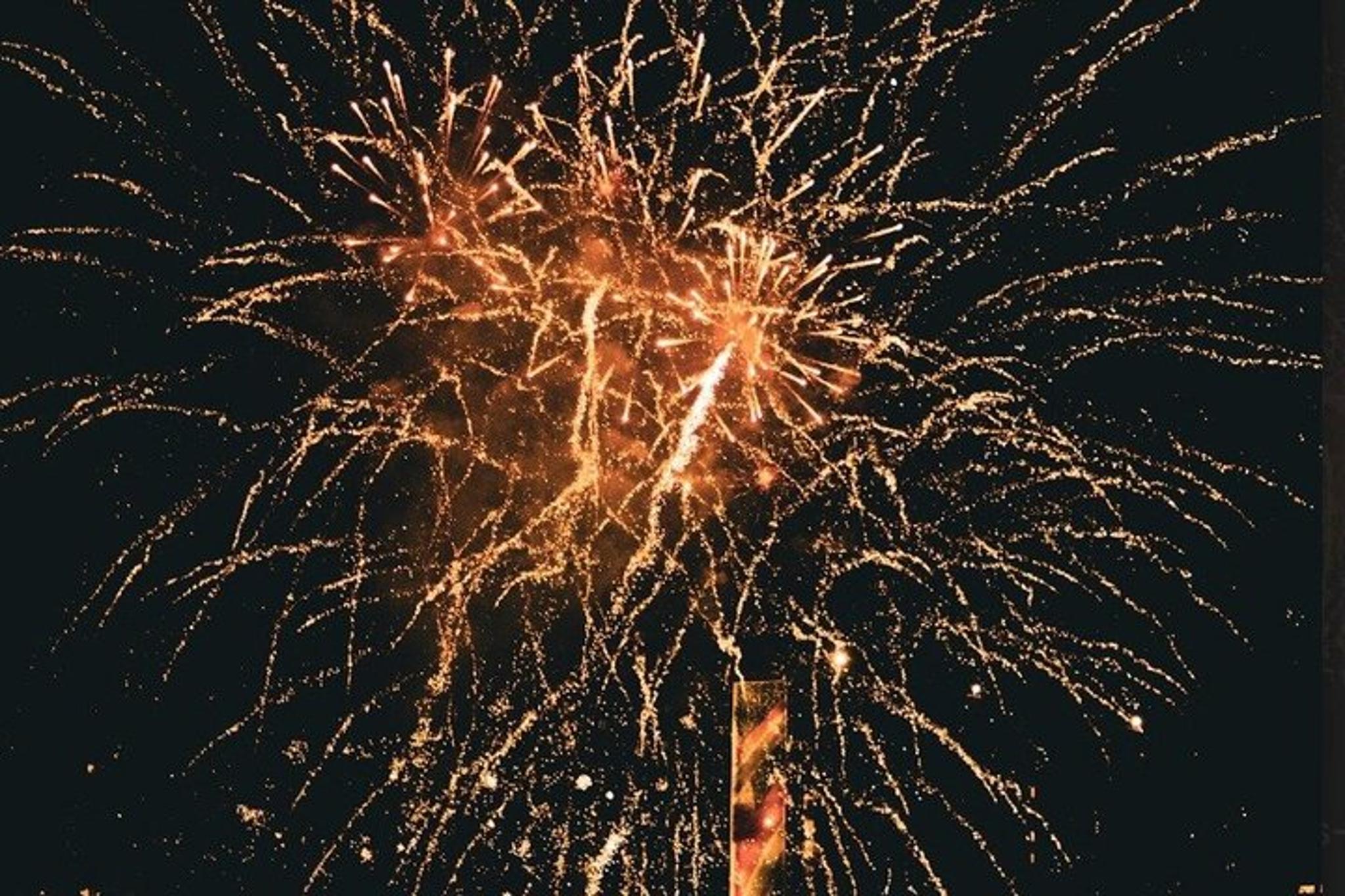 Honolulu Fireworks Cruise with Drinks 1 hr - Image 6