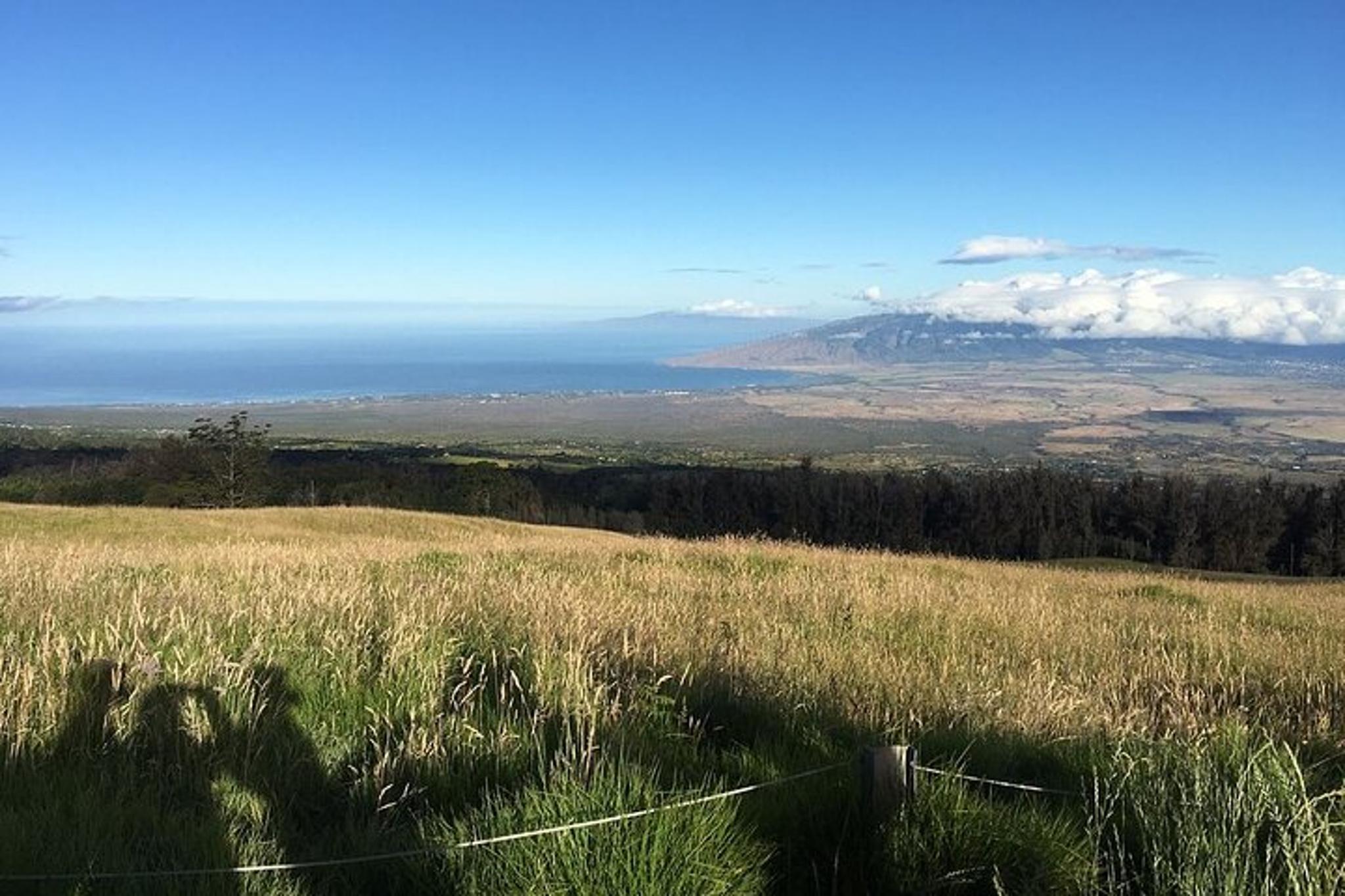 Maui Haleakala Sunrise Downhill Bike Tour - Image 4