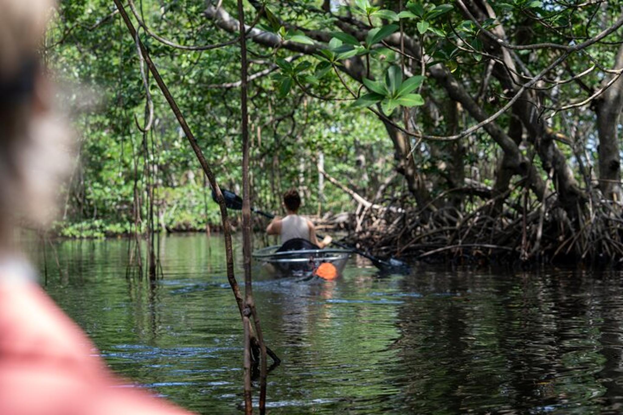 North Miami Beach Clear Kayak Tour in Mangrove Tunnels - Image 3