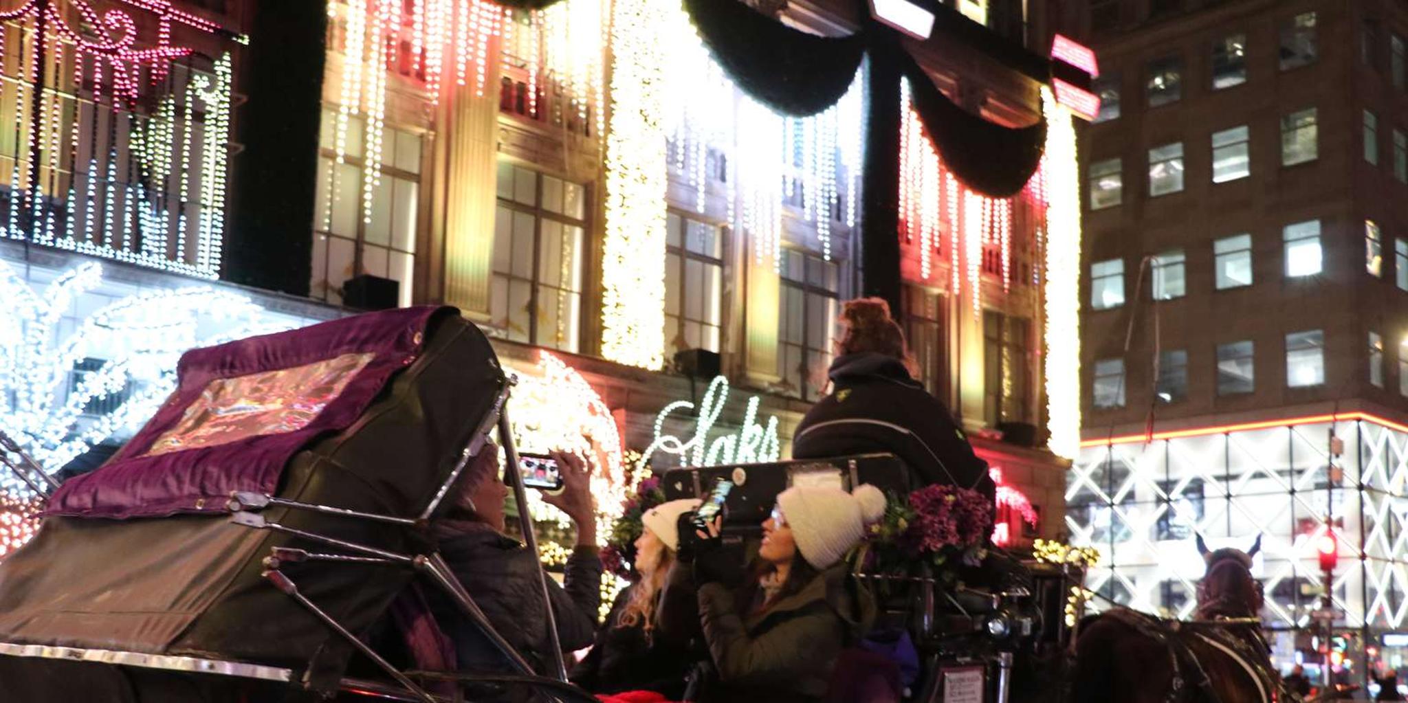 New York City Christmas Lights Carriage Ride - Image 6