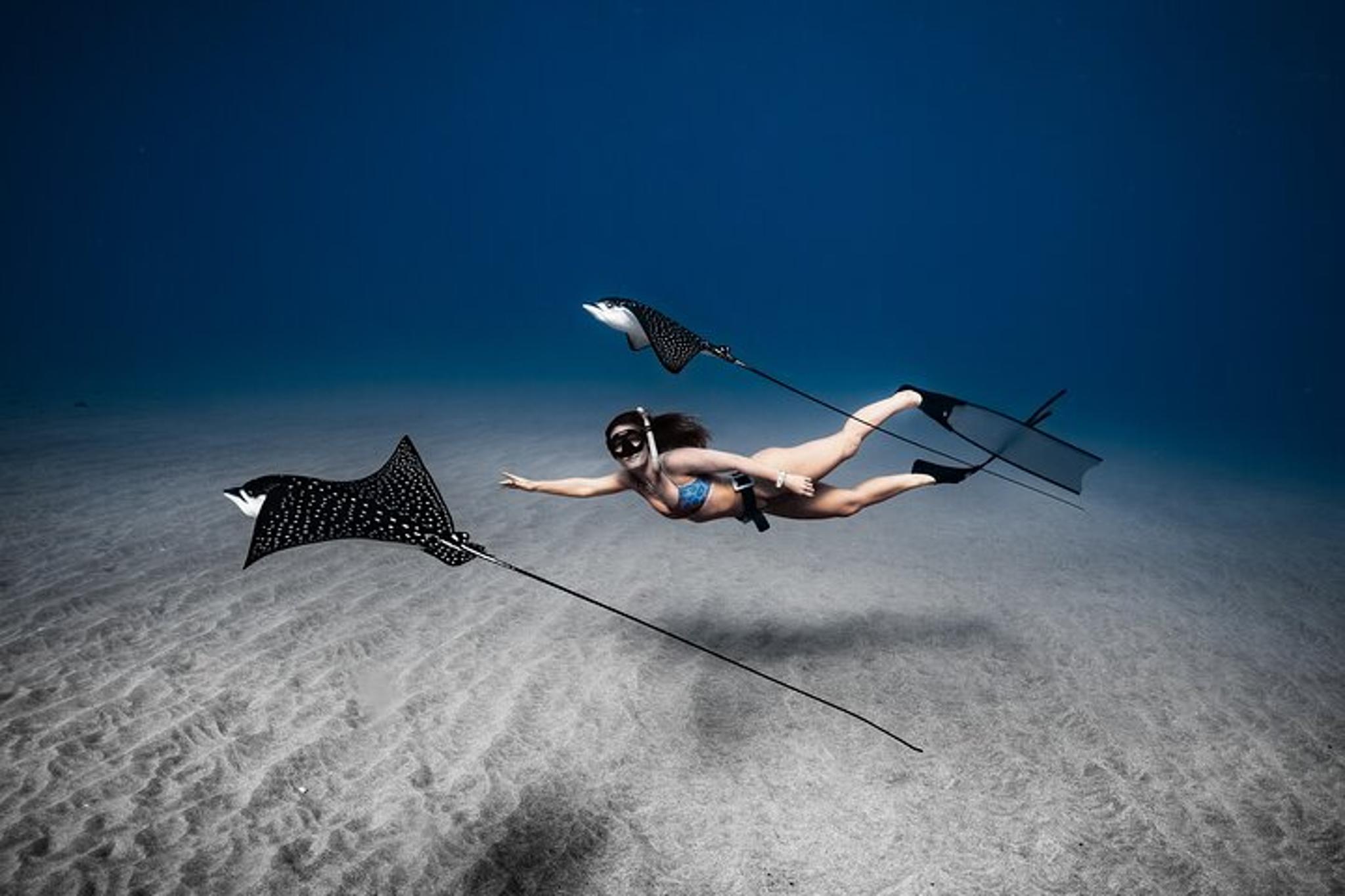 Maui Underwater Photoshoot - Image 3