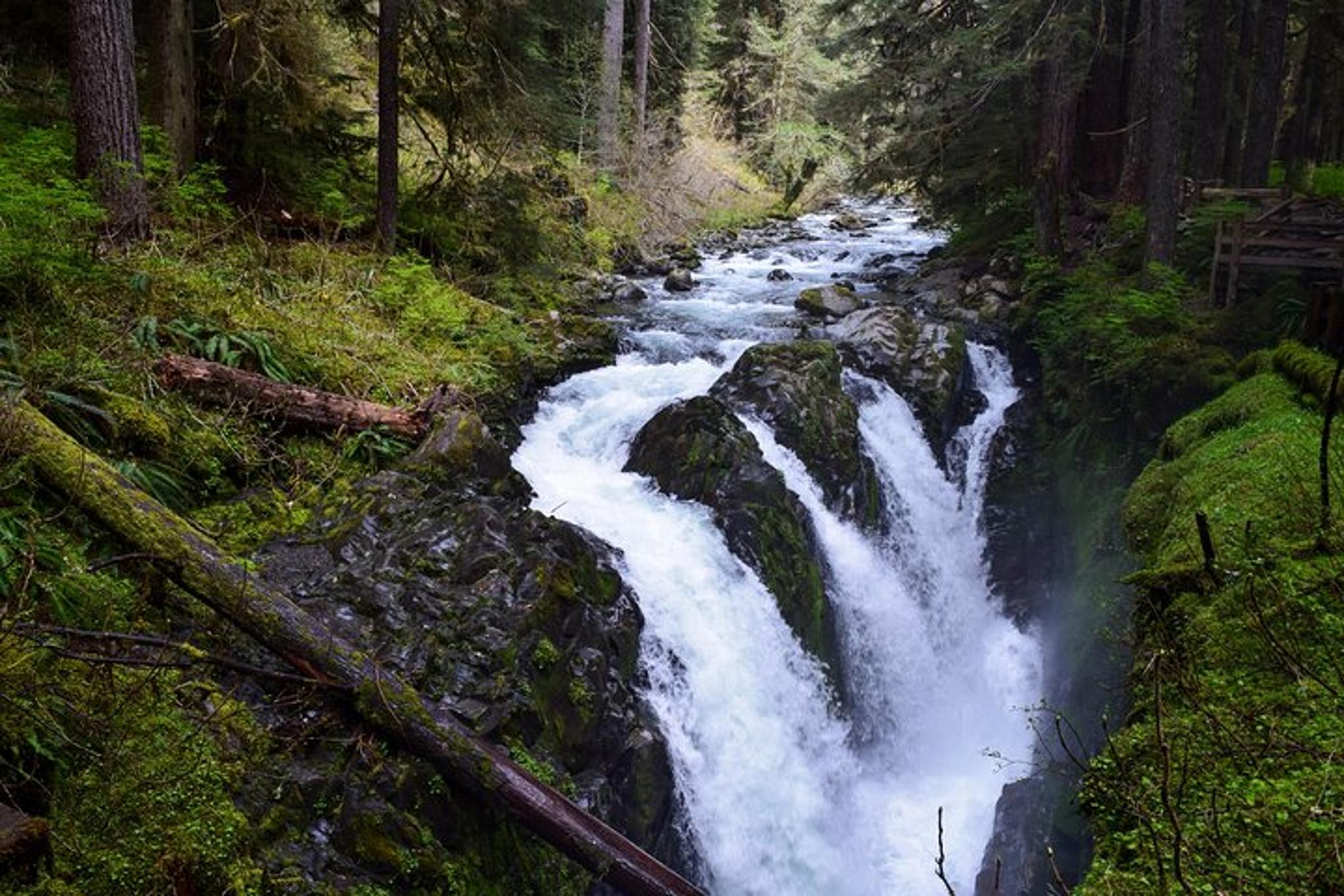 Olympic National Park Guided Tour - Image 2