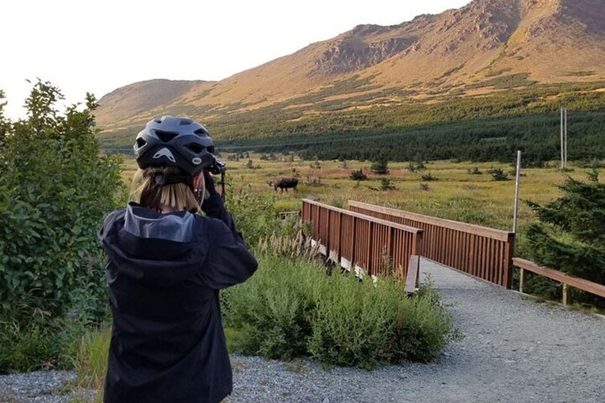Anchorage Mountain Bike Tour - Image 3