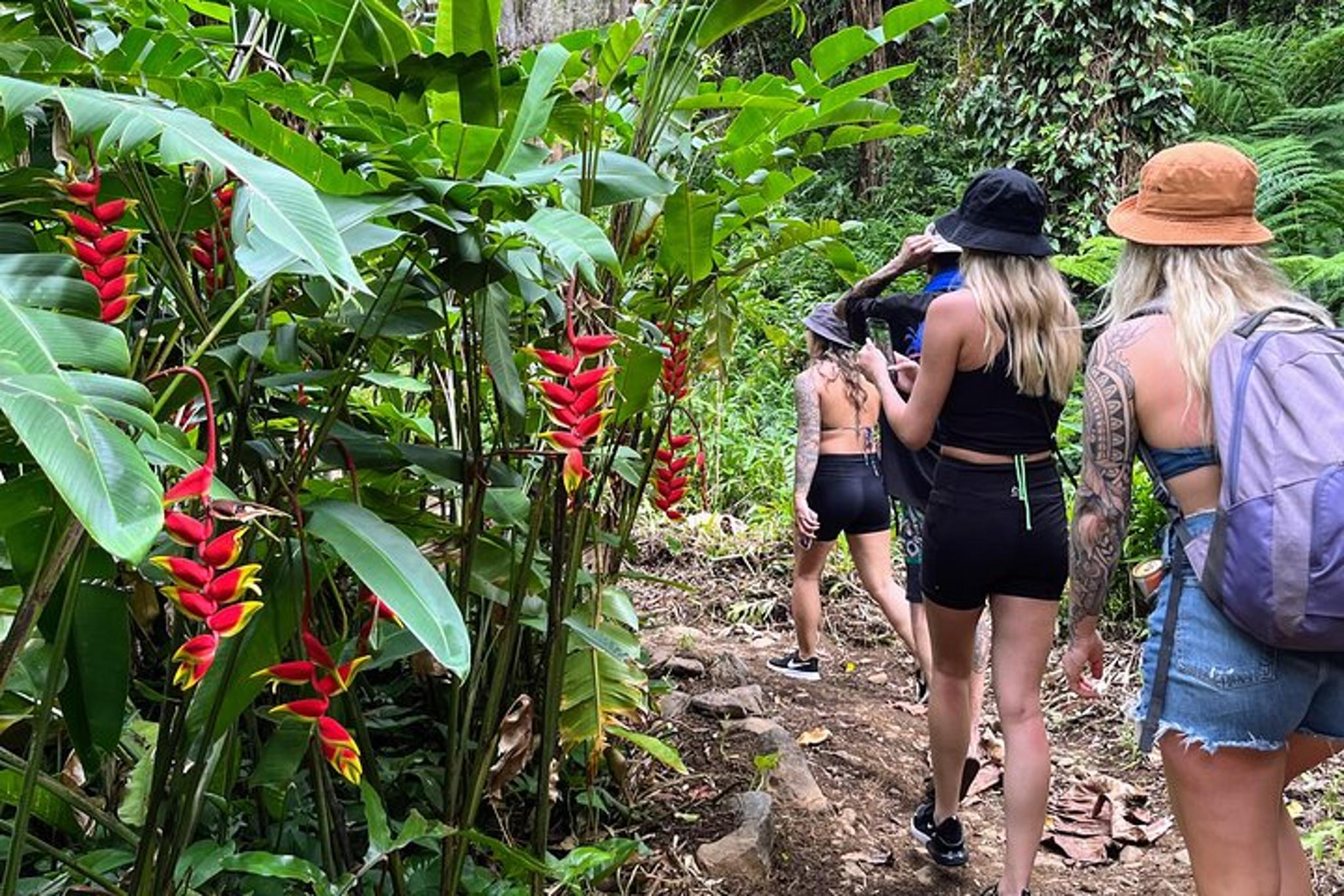 Maui Road to Hana Private Tour - Image 3