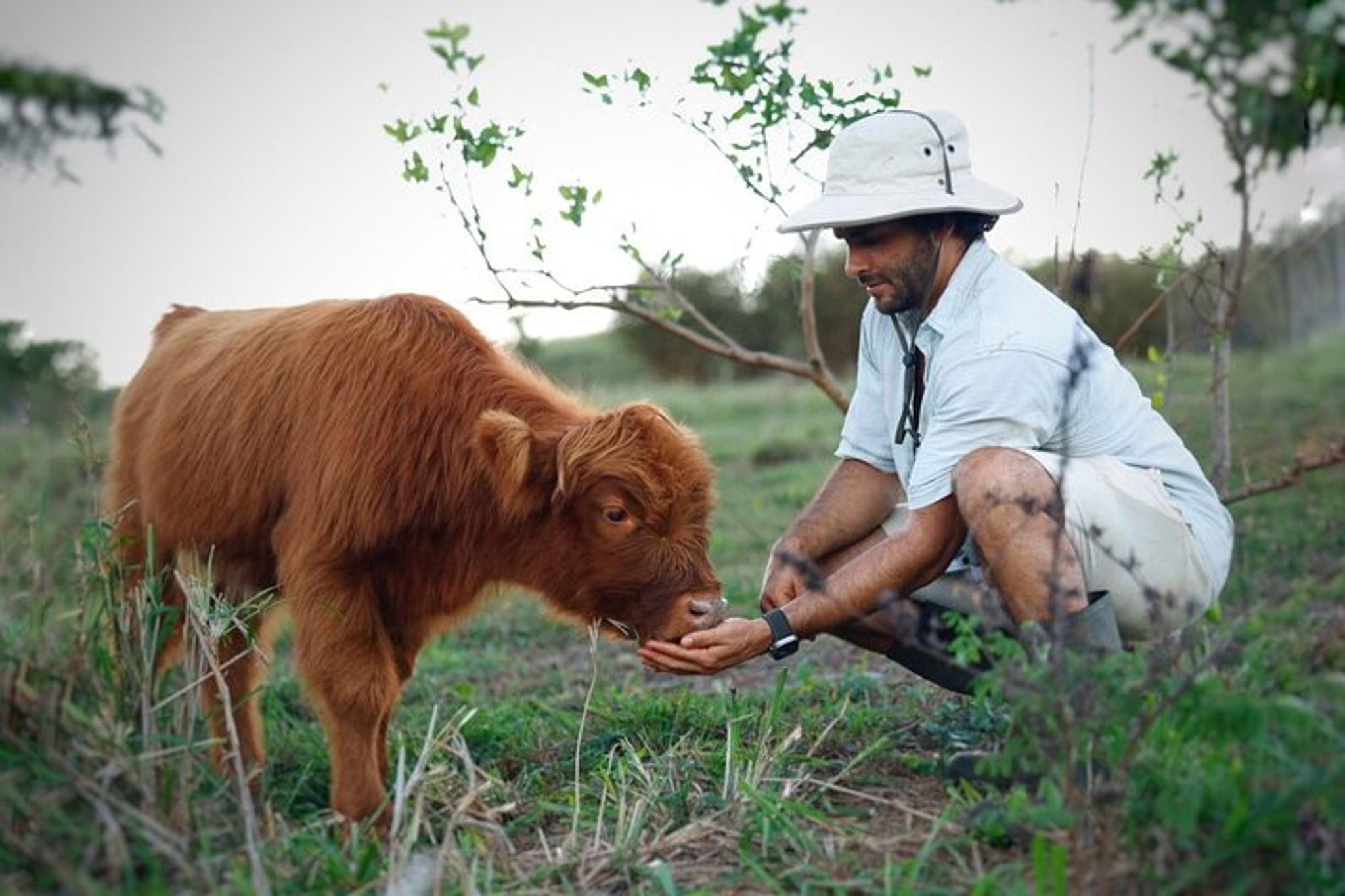 Kauai Farm Animal Experience and Micro Dairy Immersion
