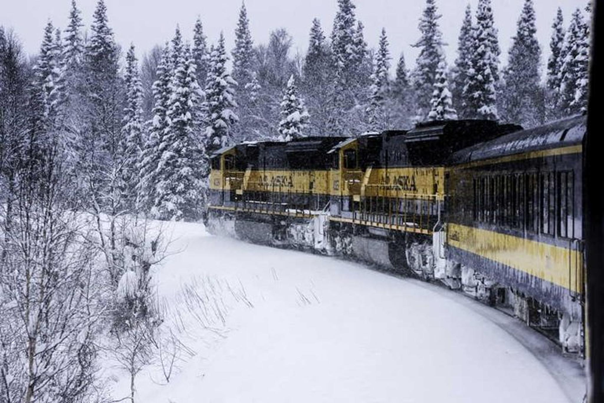 Anchorage to Fairbanks Aurora Winter Train - Image 3