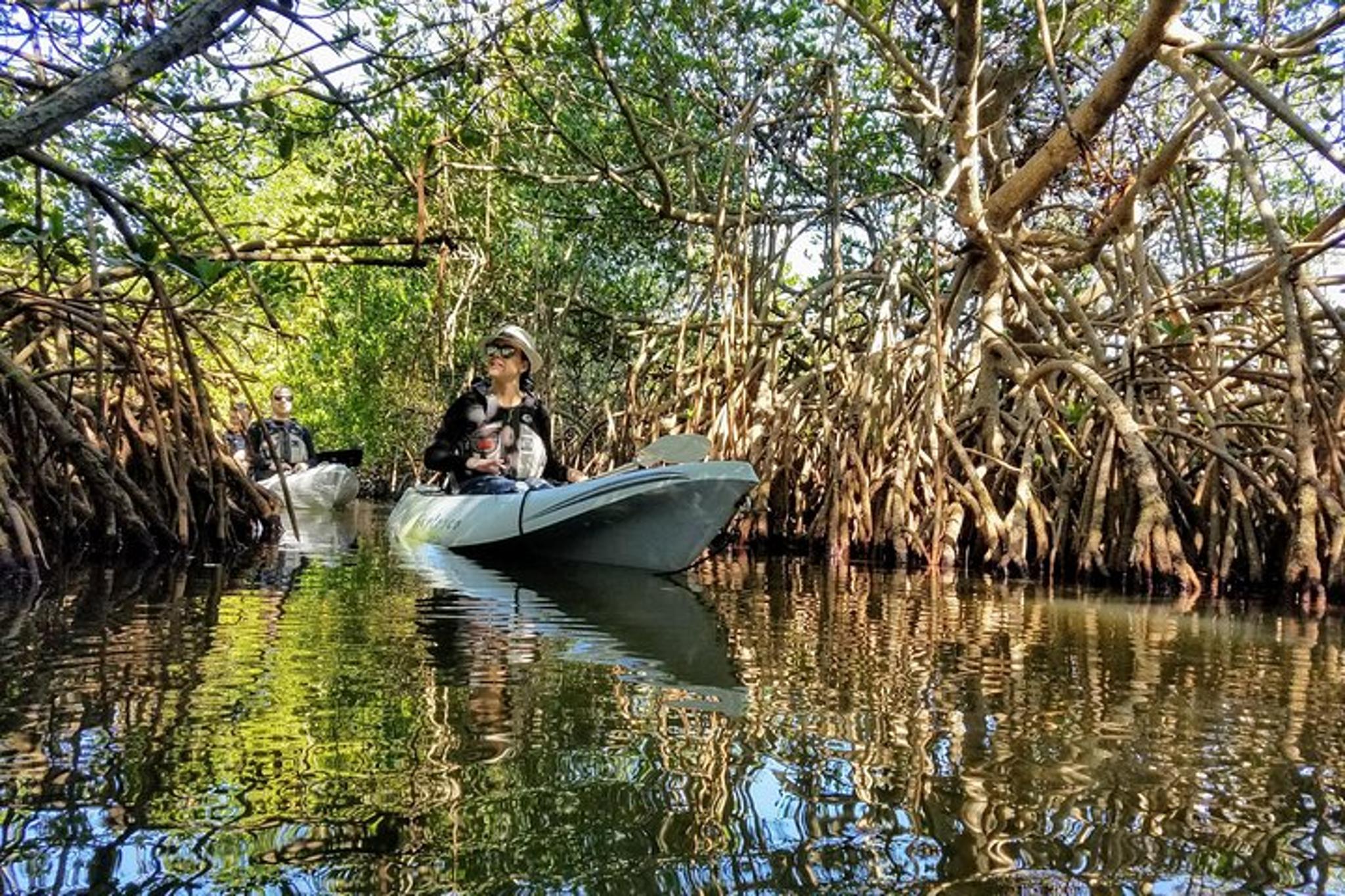 Cocoa Beach Mangrove Kayak Tour at Sunset - Image 5