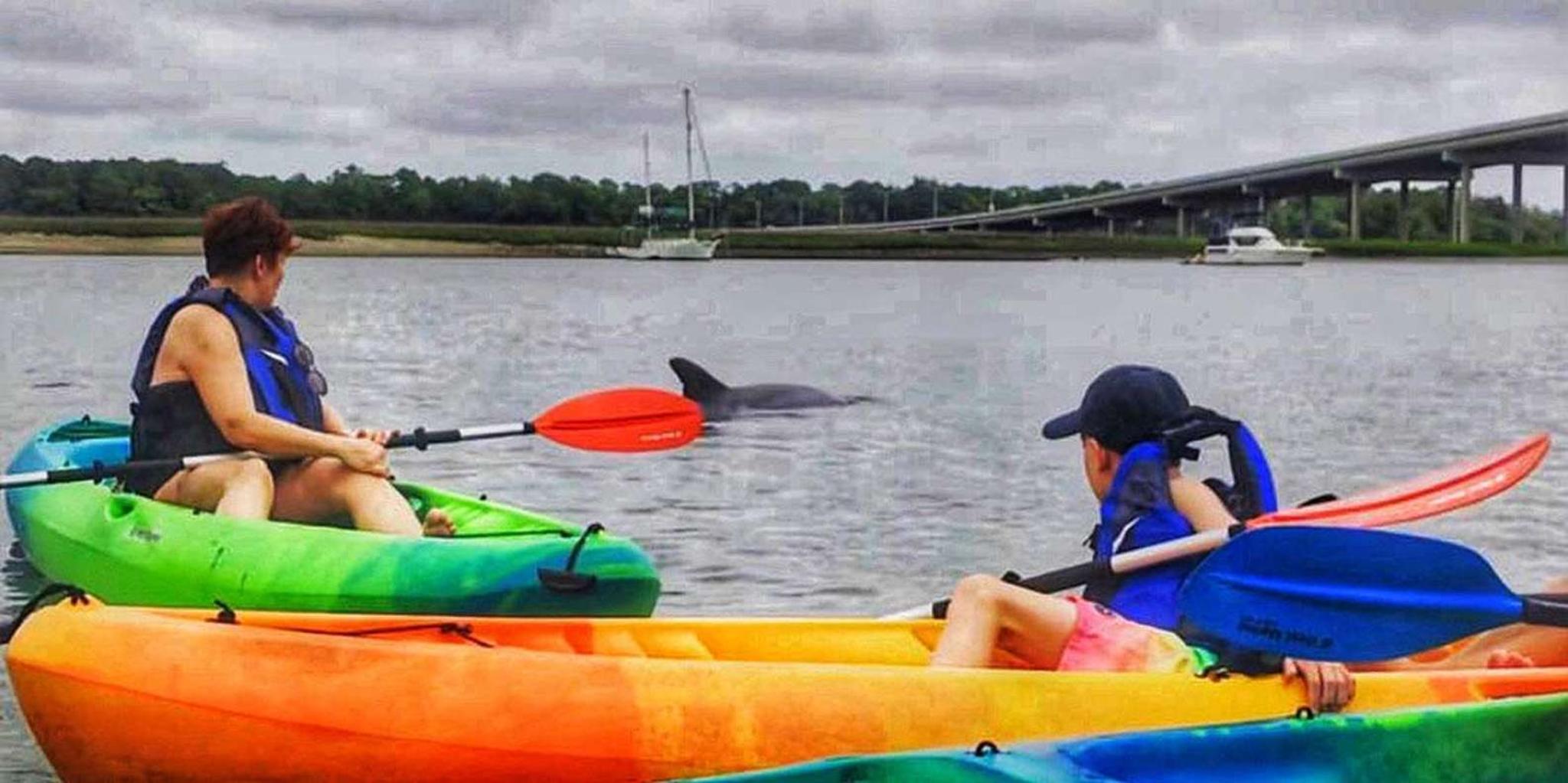 Hilton Head Kayak Tour in Broad Creek - Image 4