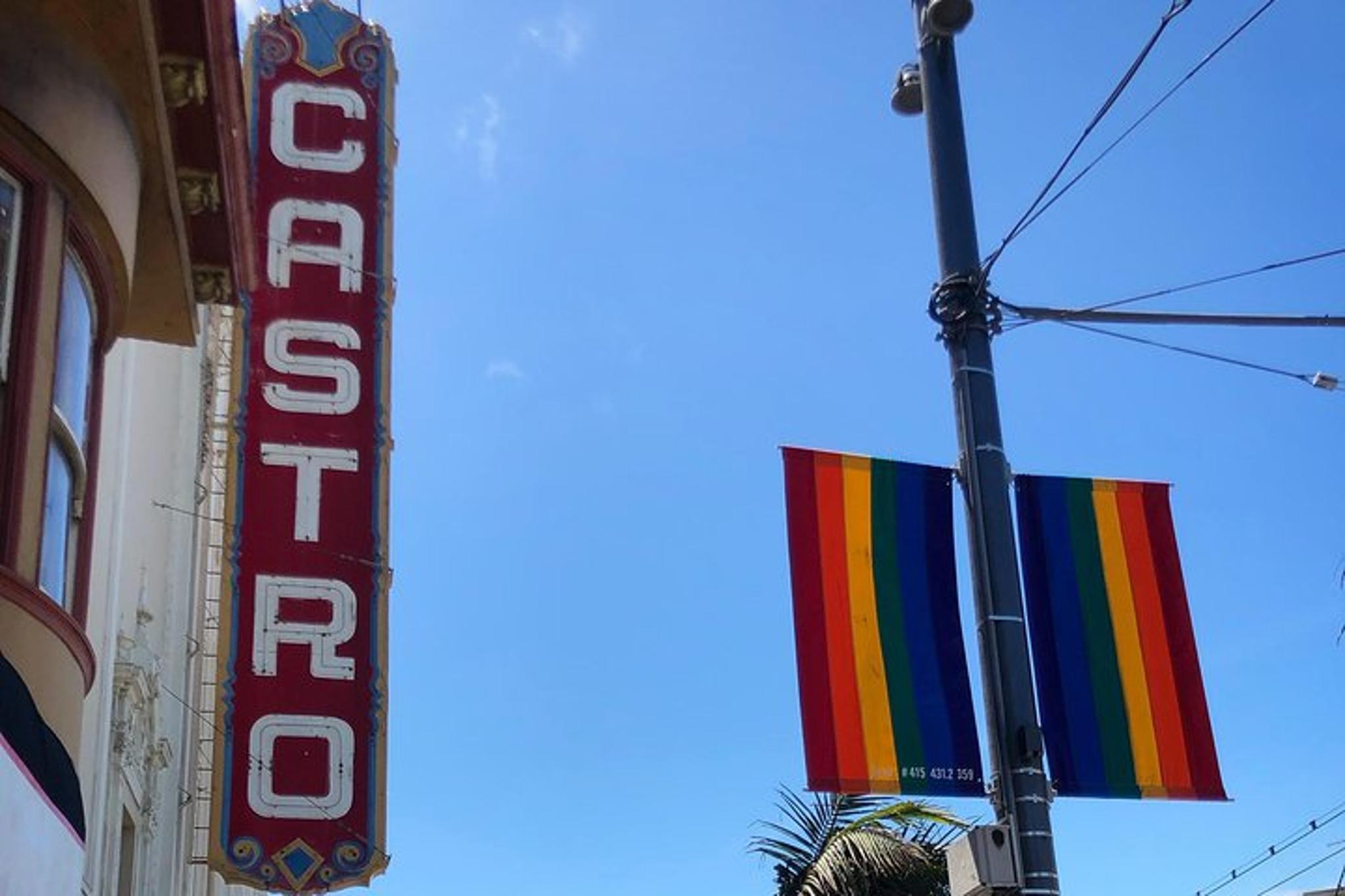 San Francisco Castro Mission Loop Tour - Image 3