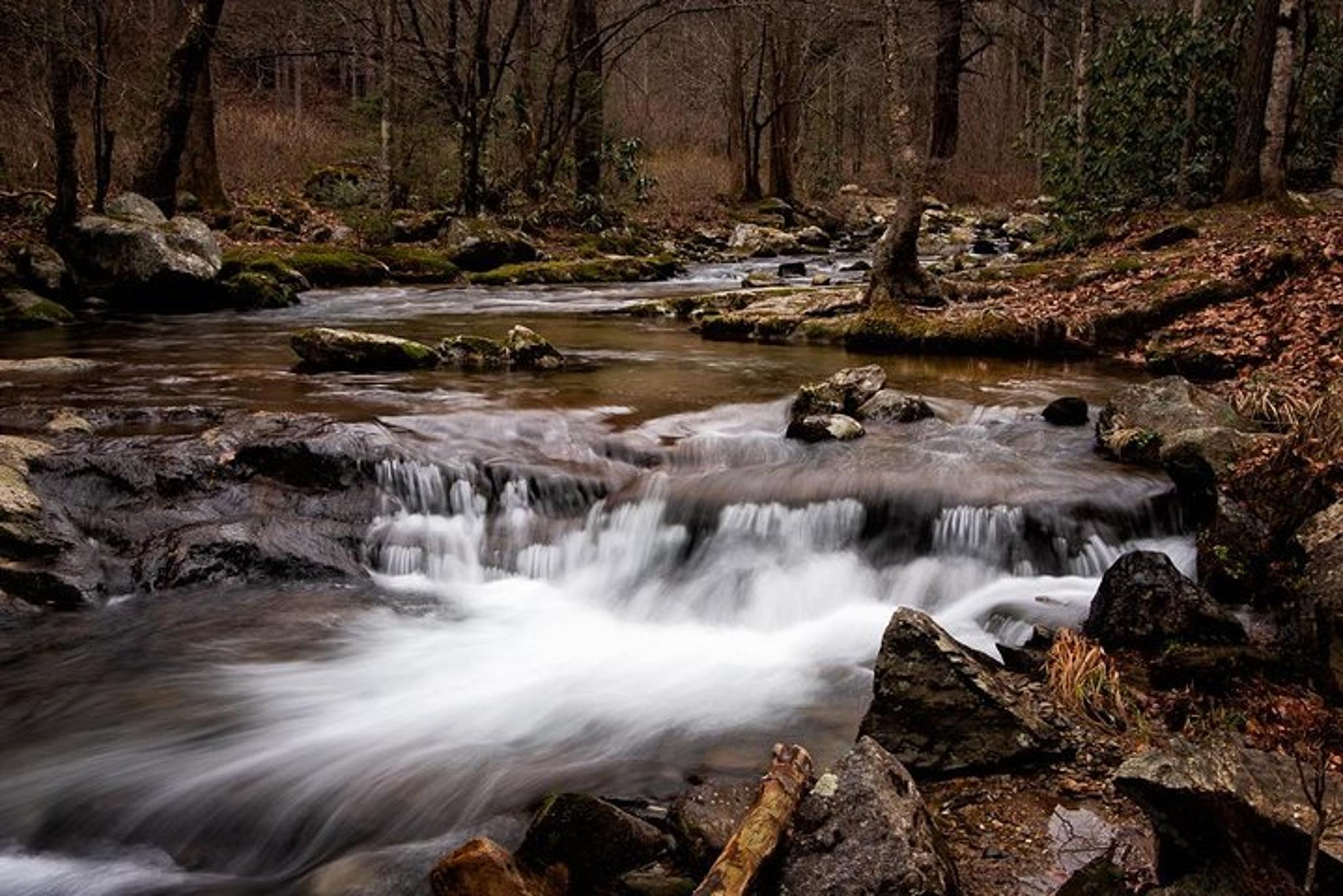 Vistas & Waterfall Photography Tour in Asheville - Image 5