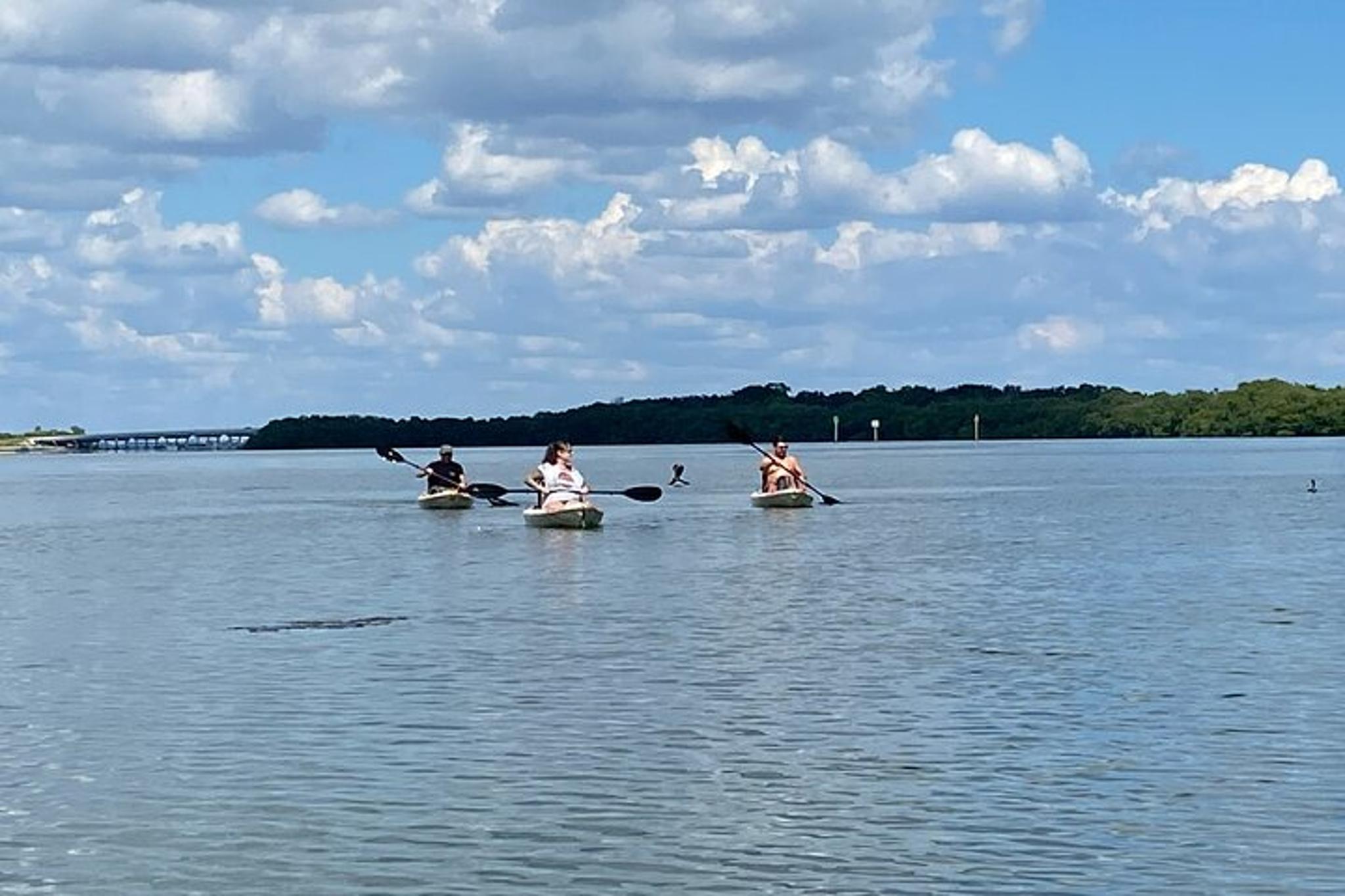 Tierra Verde Kayak Adventure at Shell Key Preserve - Image 6