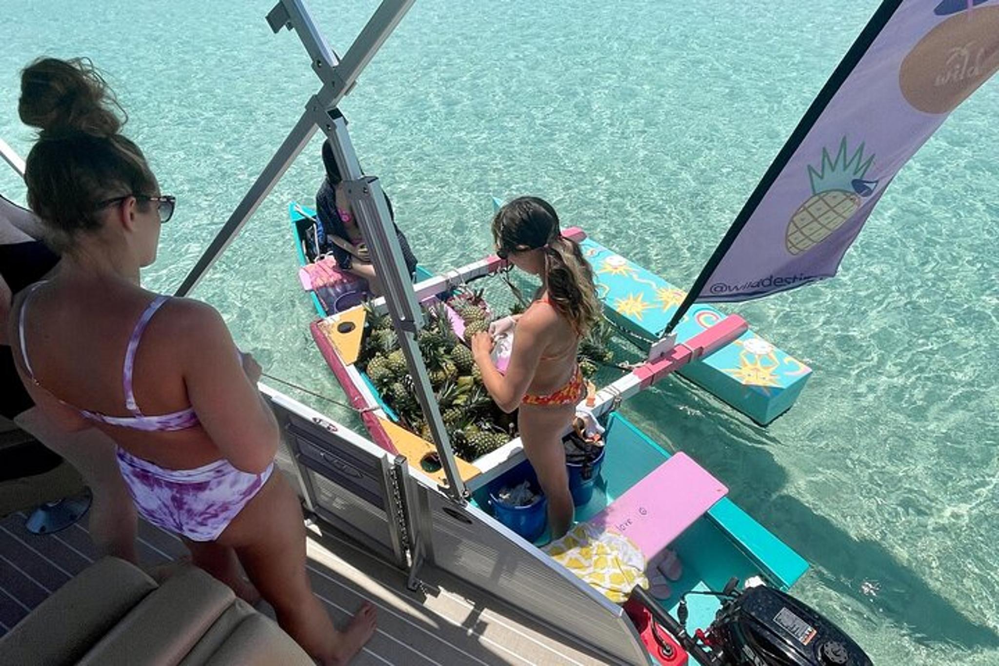Destin Pontoon Charter to Crab Island - Image 4