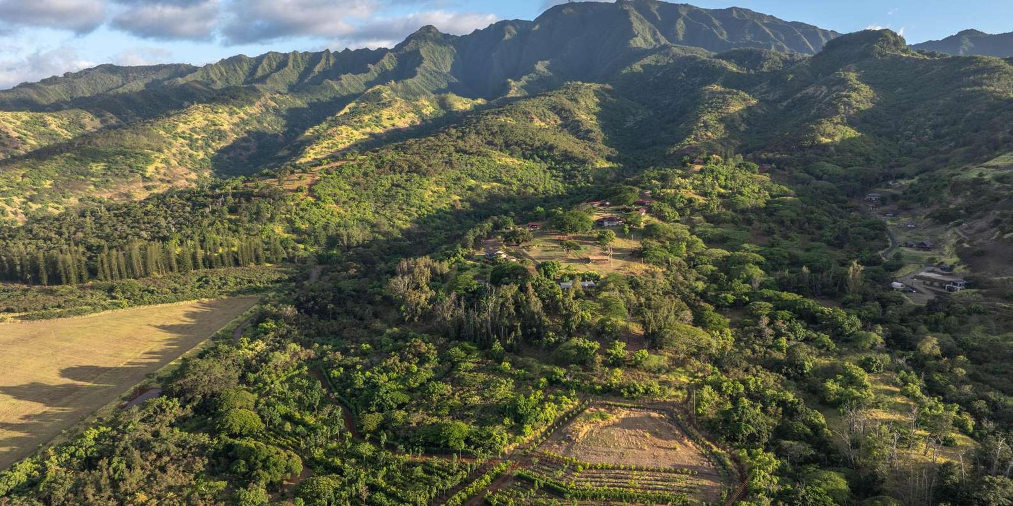 Oahu Chocolate Farm Tour with Tasting