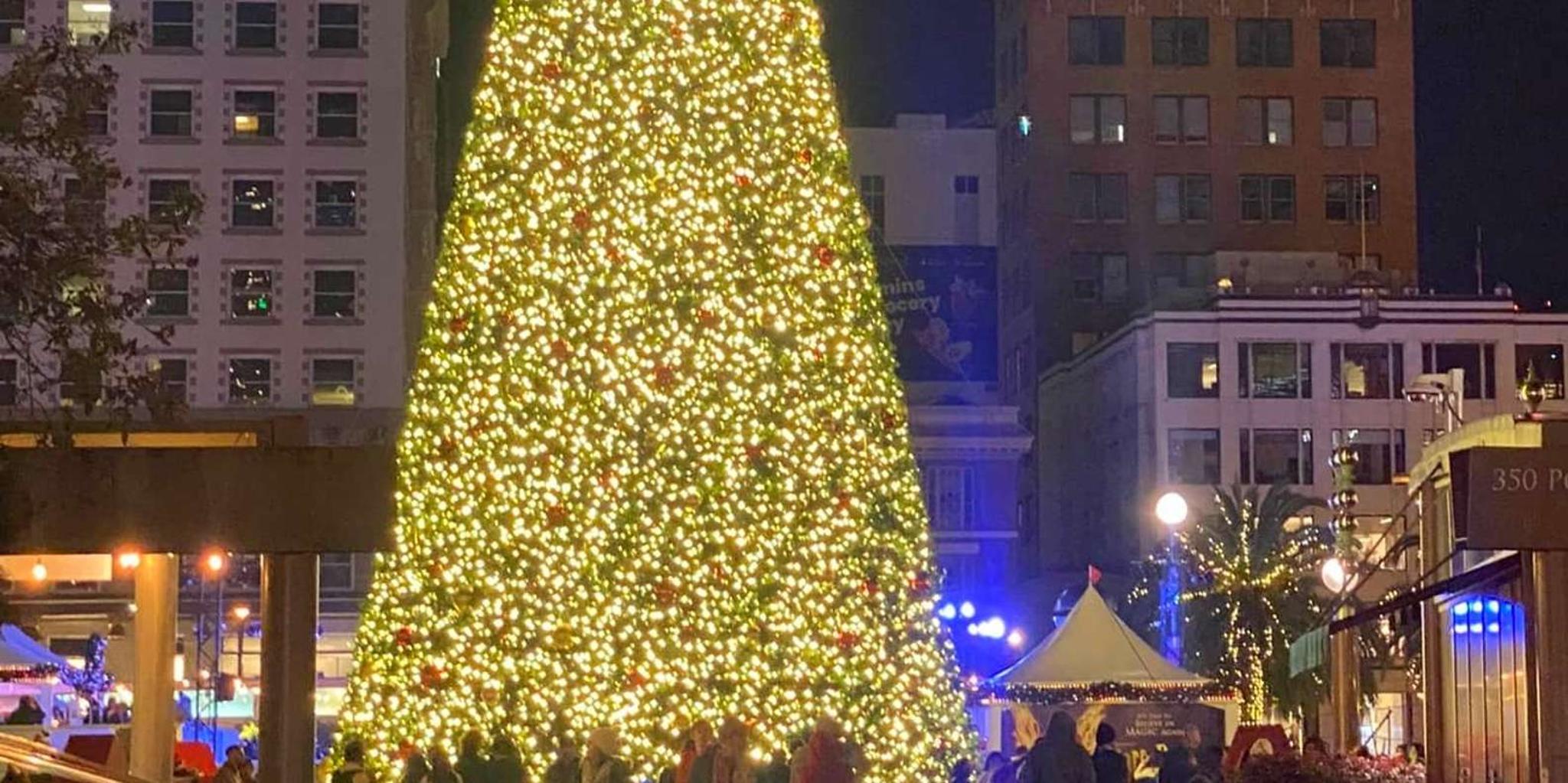 San Francisco Holiday Lights Jeep Tour - Image 3
