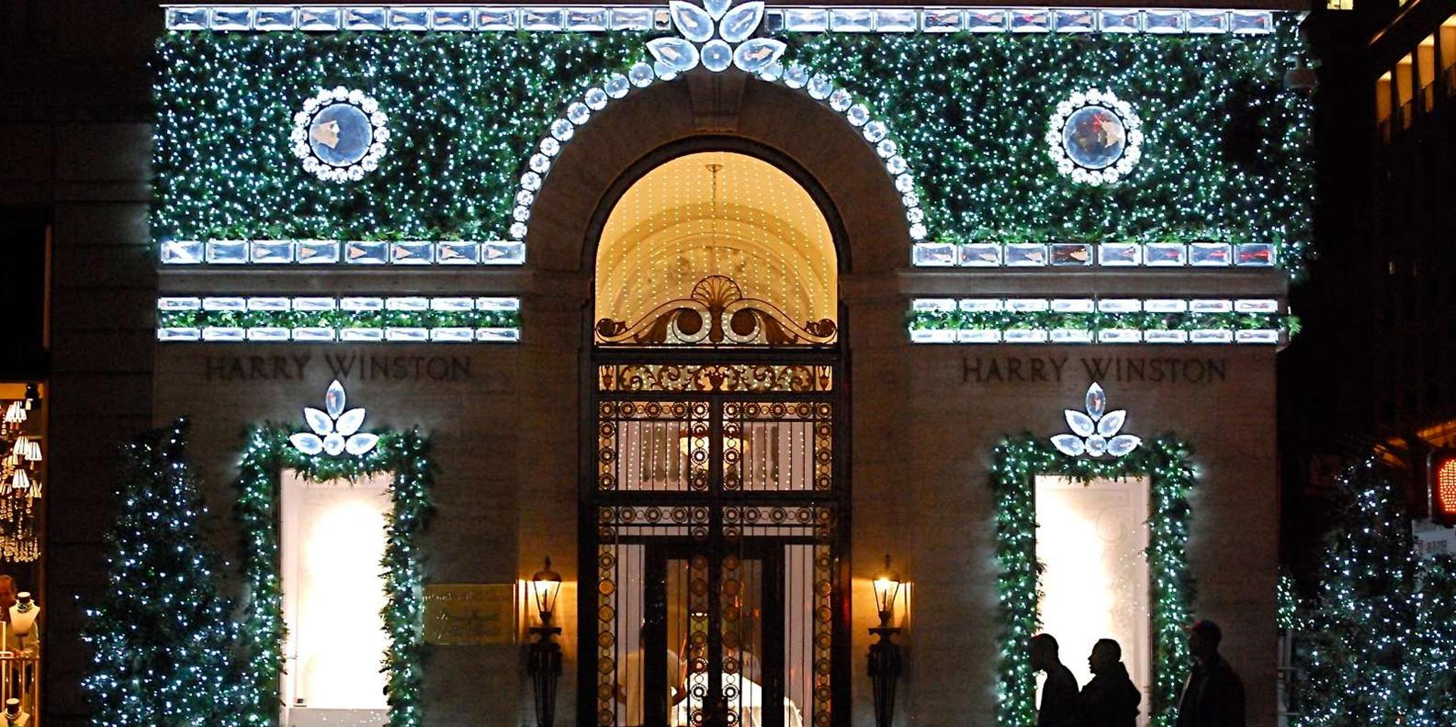 New York Holiday Lights and Grand Central Tour - Image 3