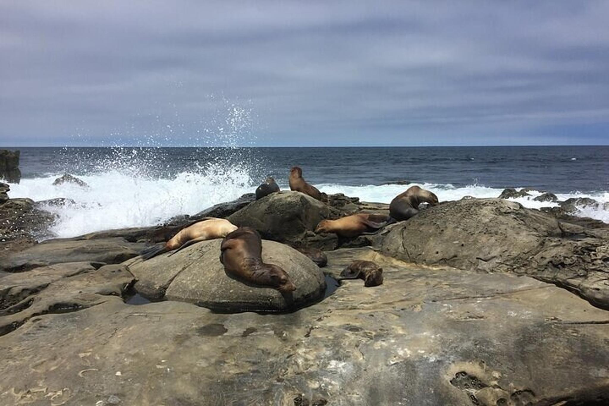San Diego Private Tour from Coronado Island 7.5 hr