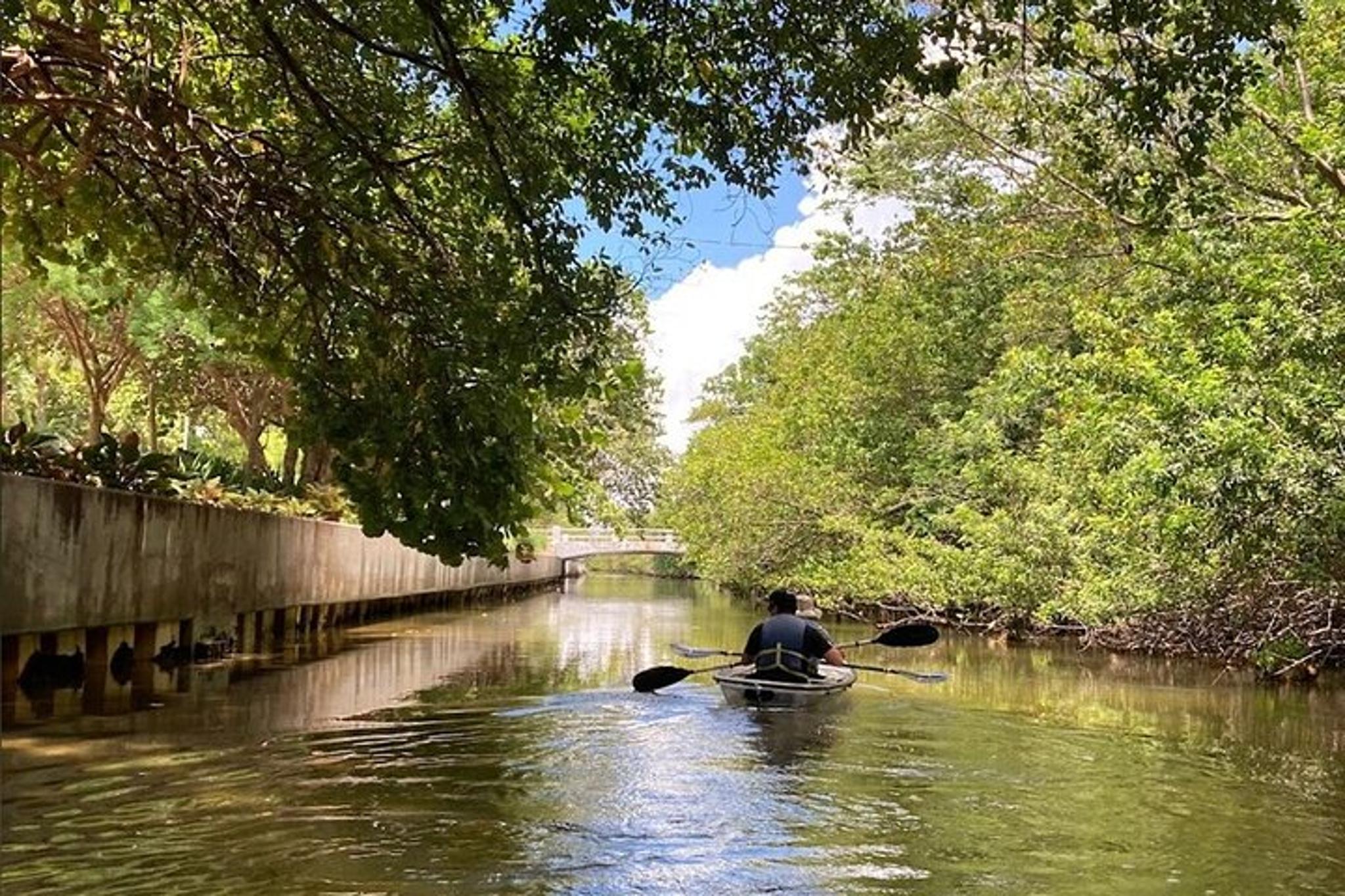 Miami Beach Clear Kayak Tour in Biscayne Bay - Image 4