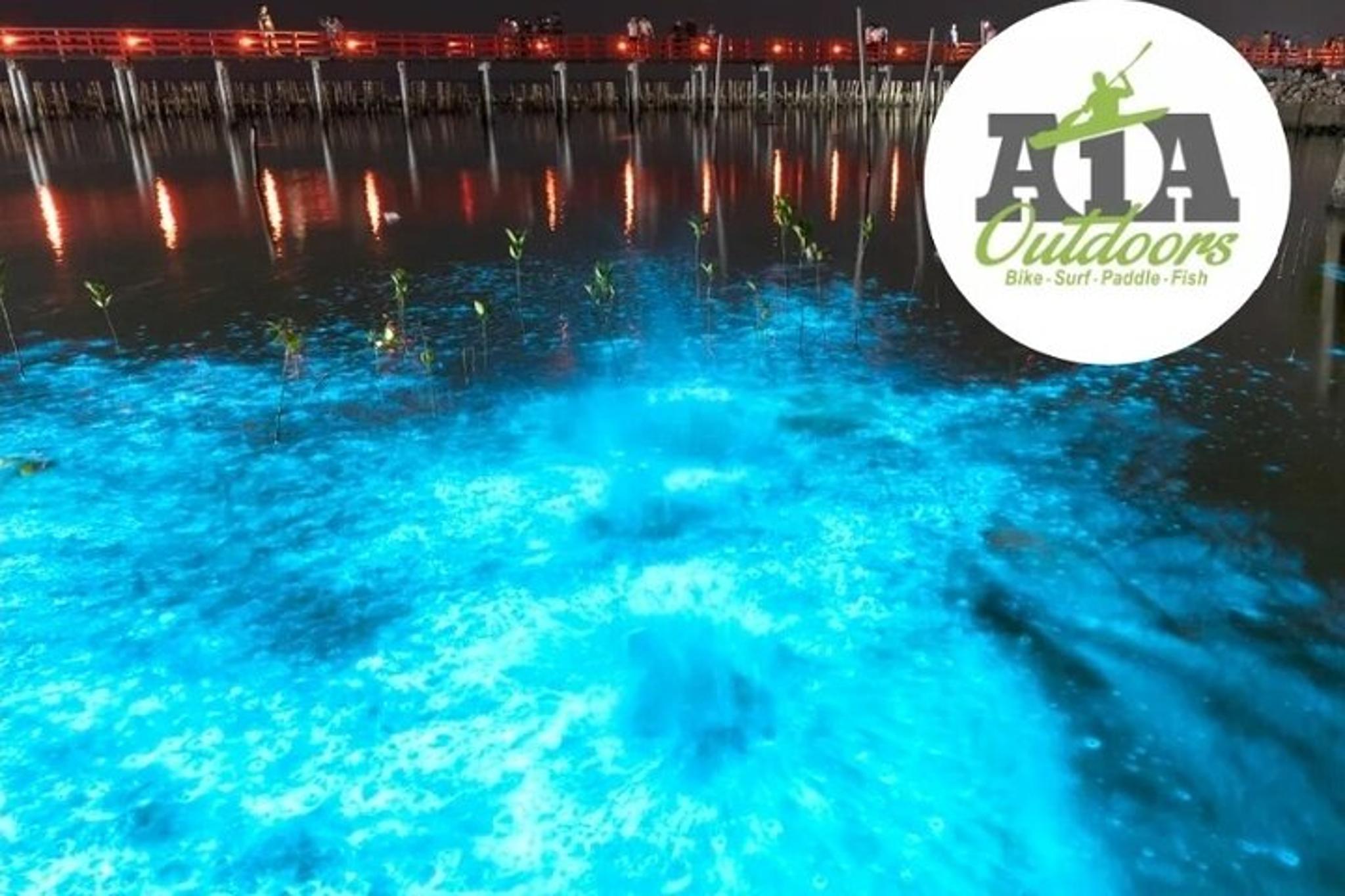 Cocoa Beach Bioluminescence Kayak Tour 90 Min - Image 6