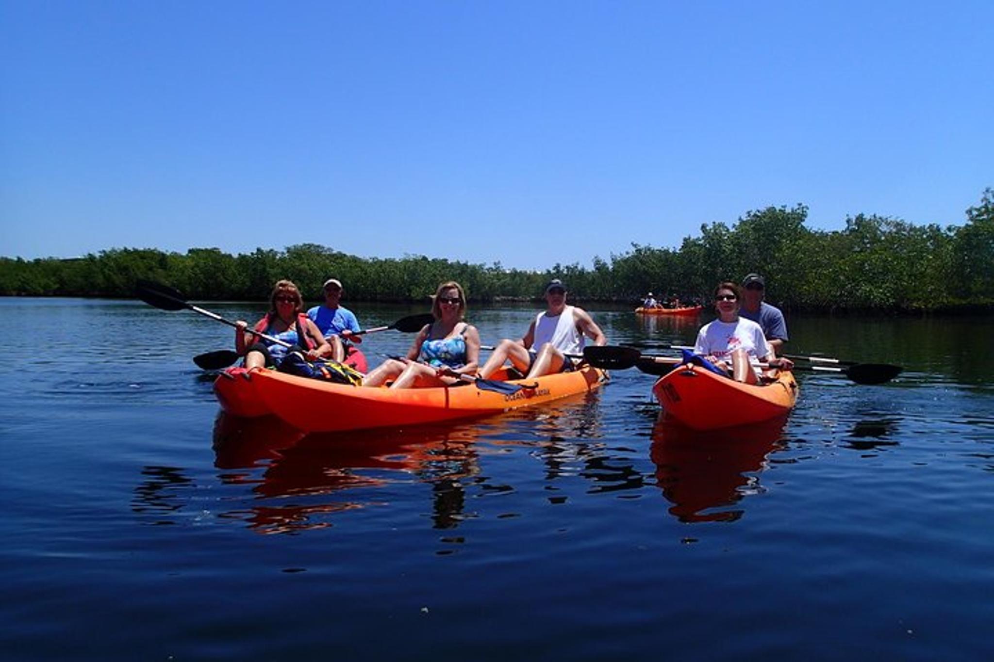 Key Largo Mangrove SUP/Kayak Rental - Image 3