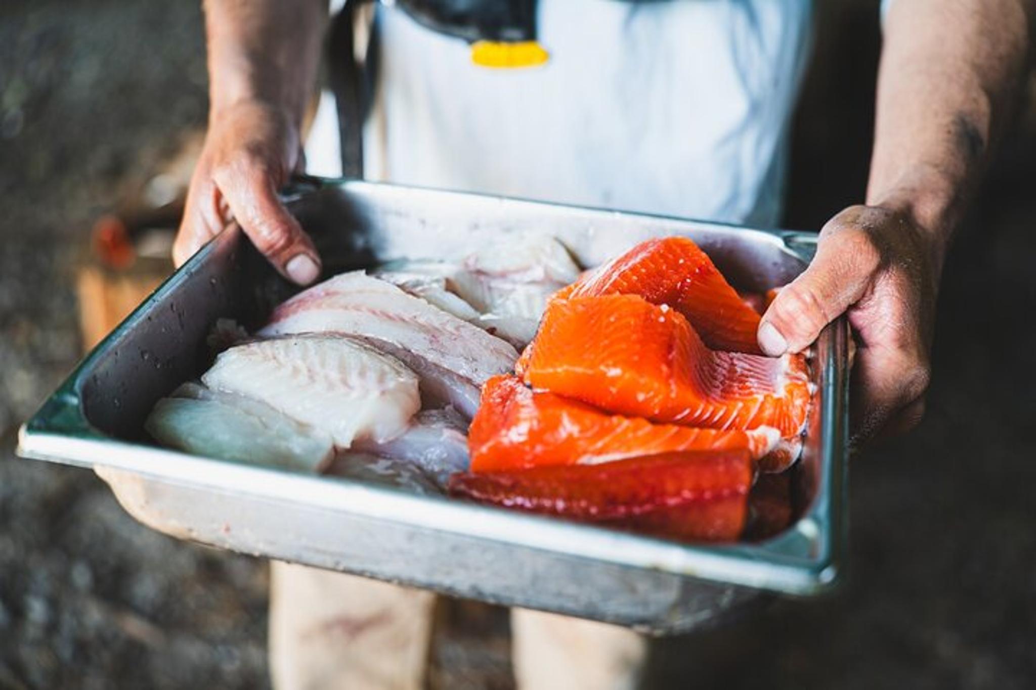 Ketchikan Fishing and Wilderness Dining - Image 2
