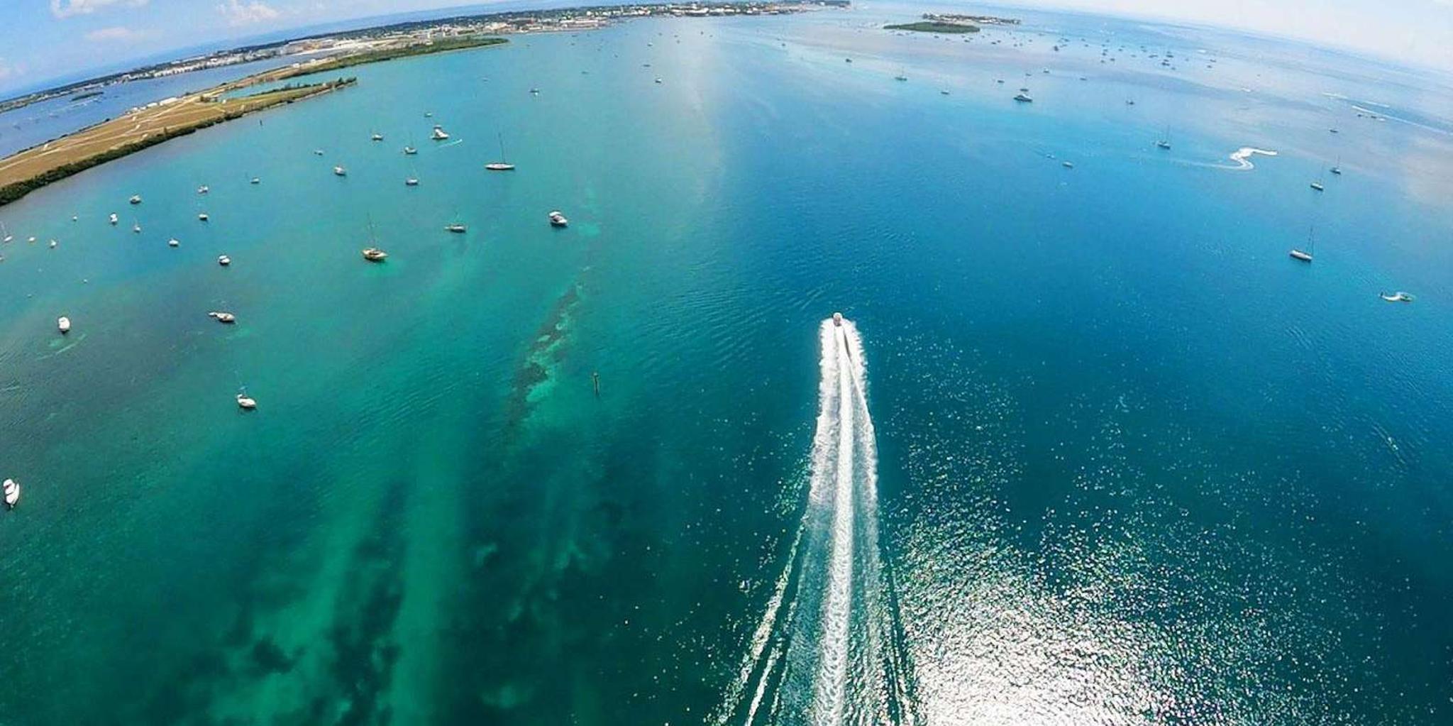 Key West Helicopter Eco Tour - Image 5