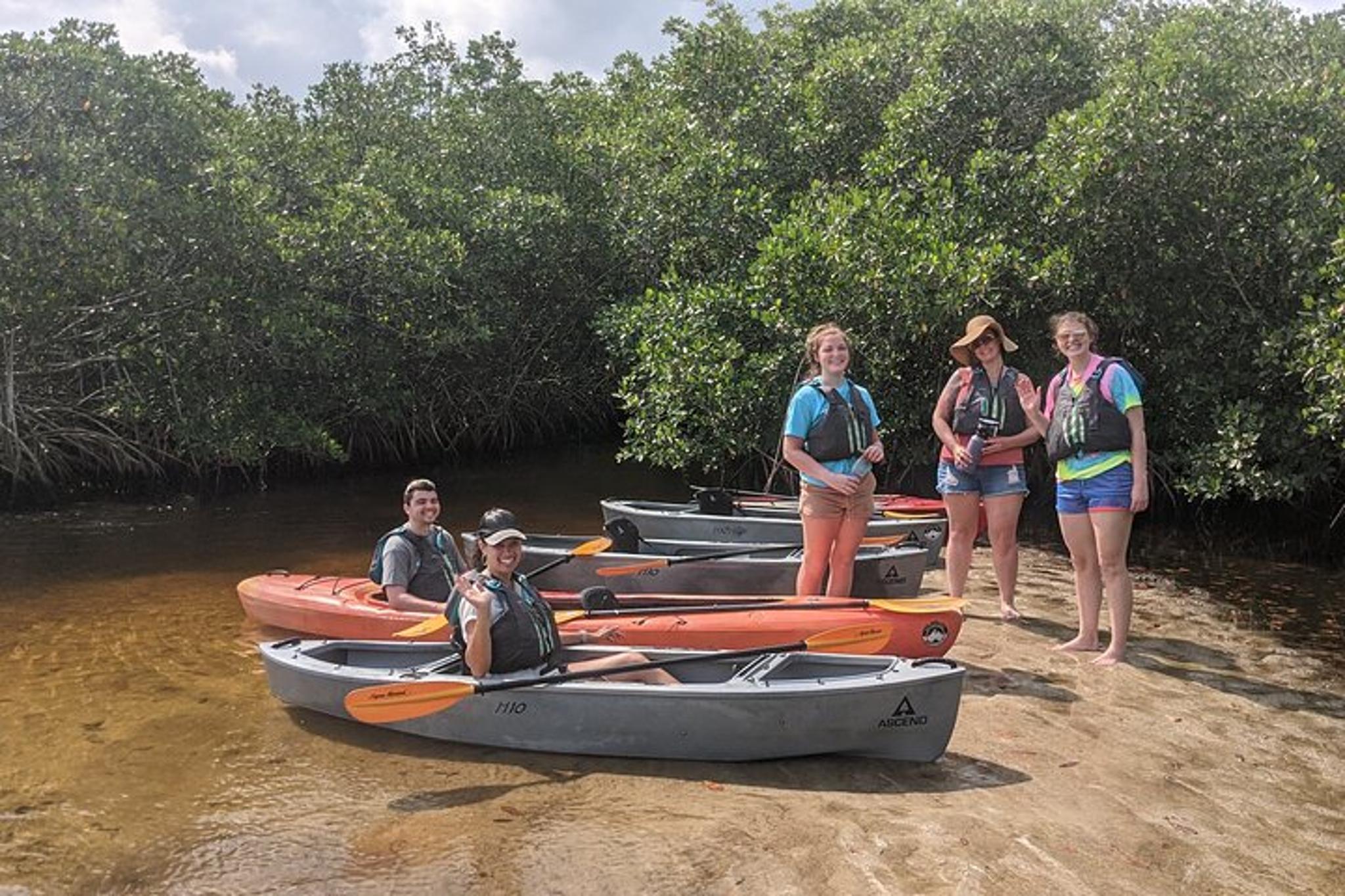 Naples Kayak Tour through Mangrove Tunnels - Image 5