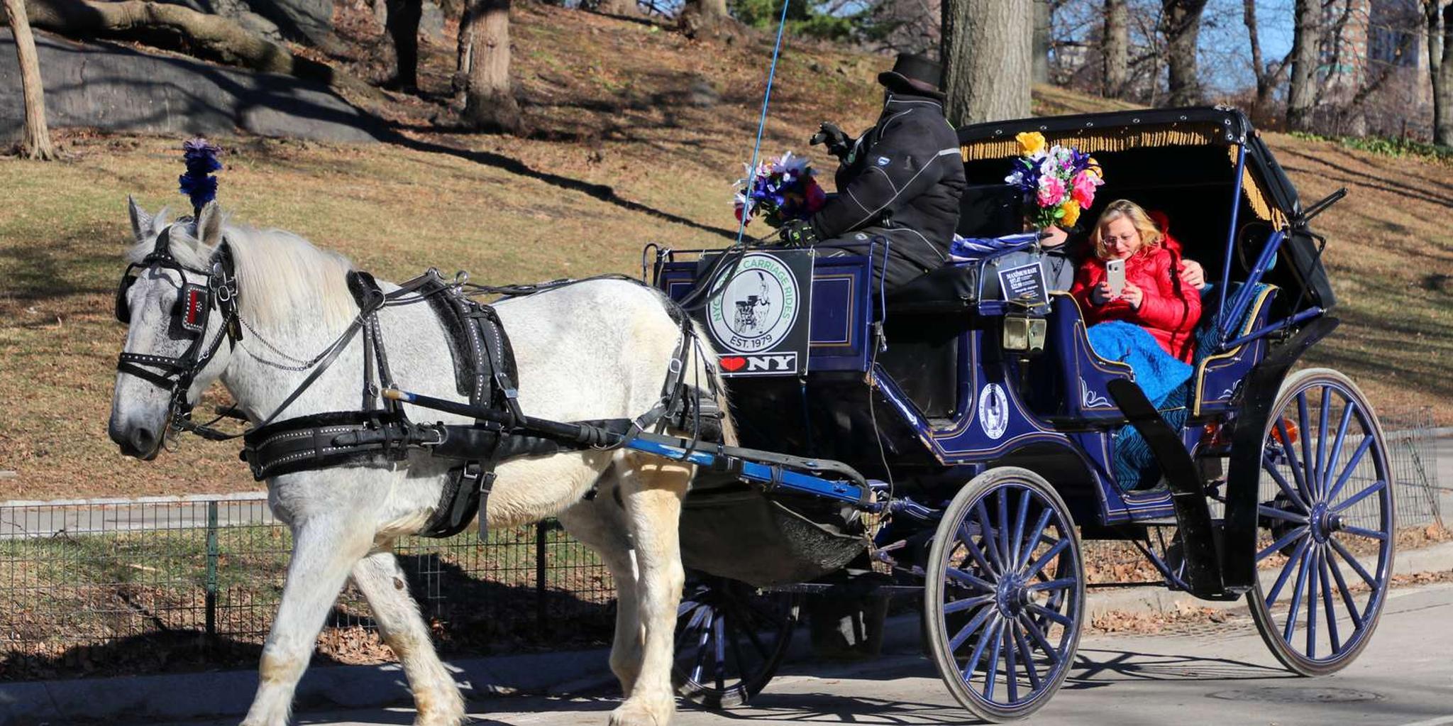 New York City Horse Carriage Ride in Central Park - Image 3