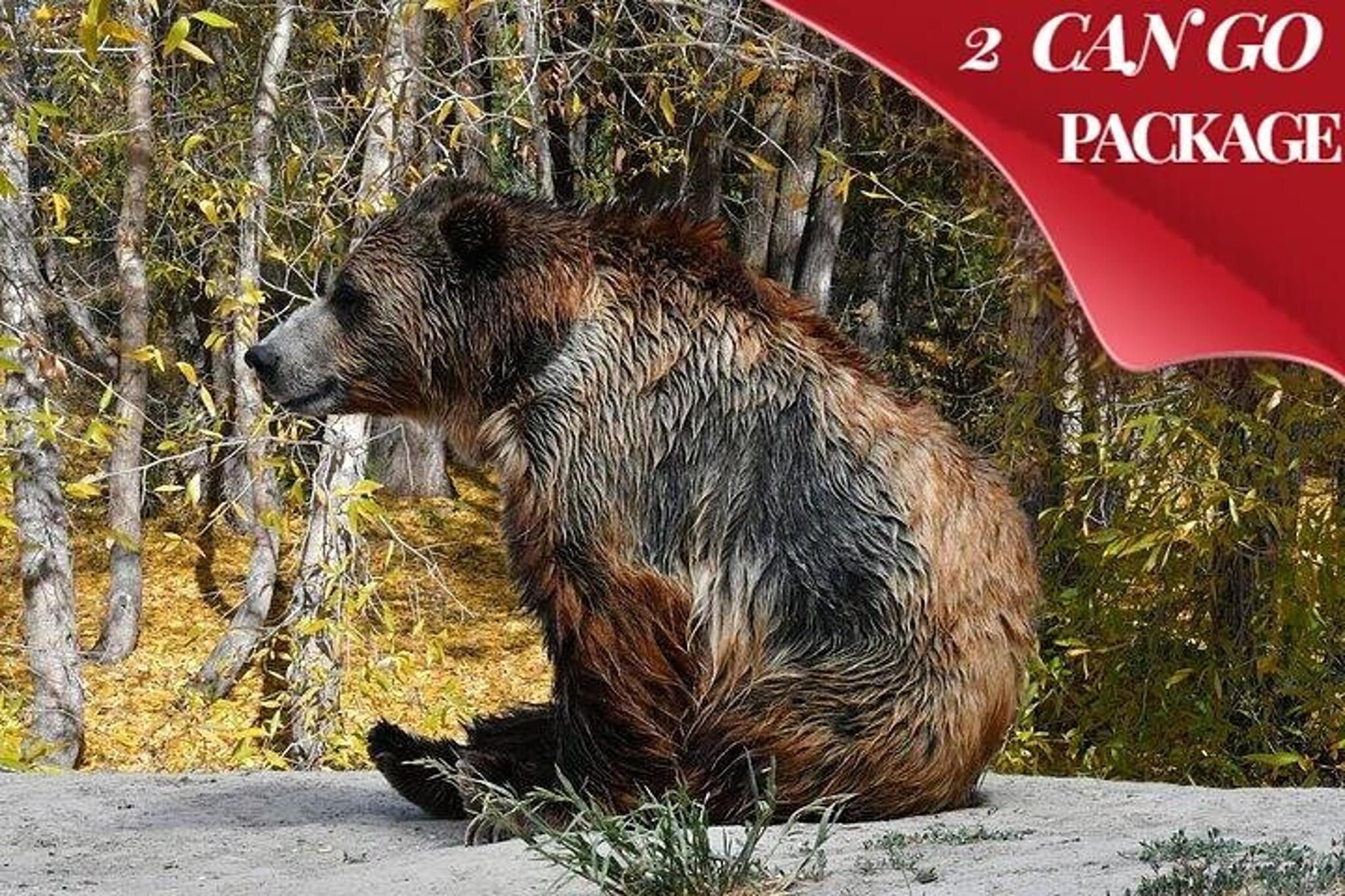 Yellowstone and Grand Teton 5-Day Tour - Image 2