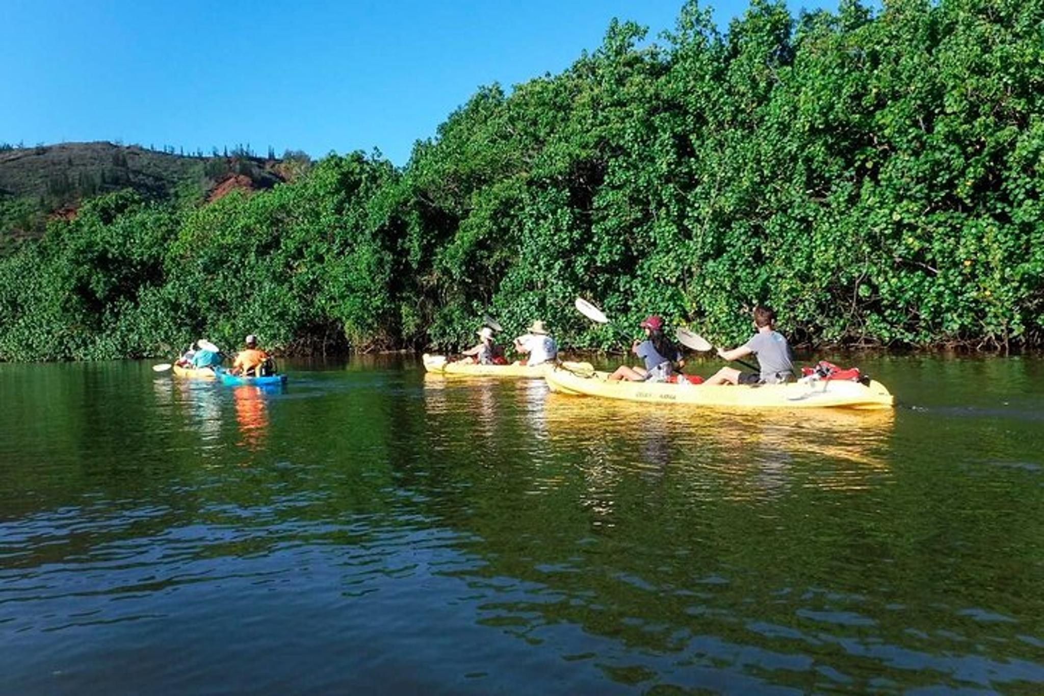 Wailua River Paddle Tour - Image 4